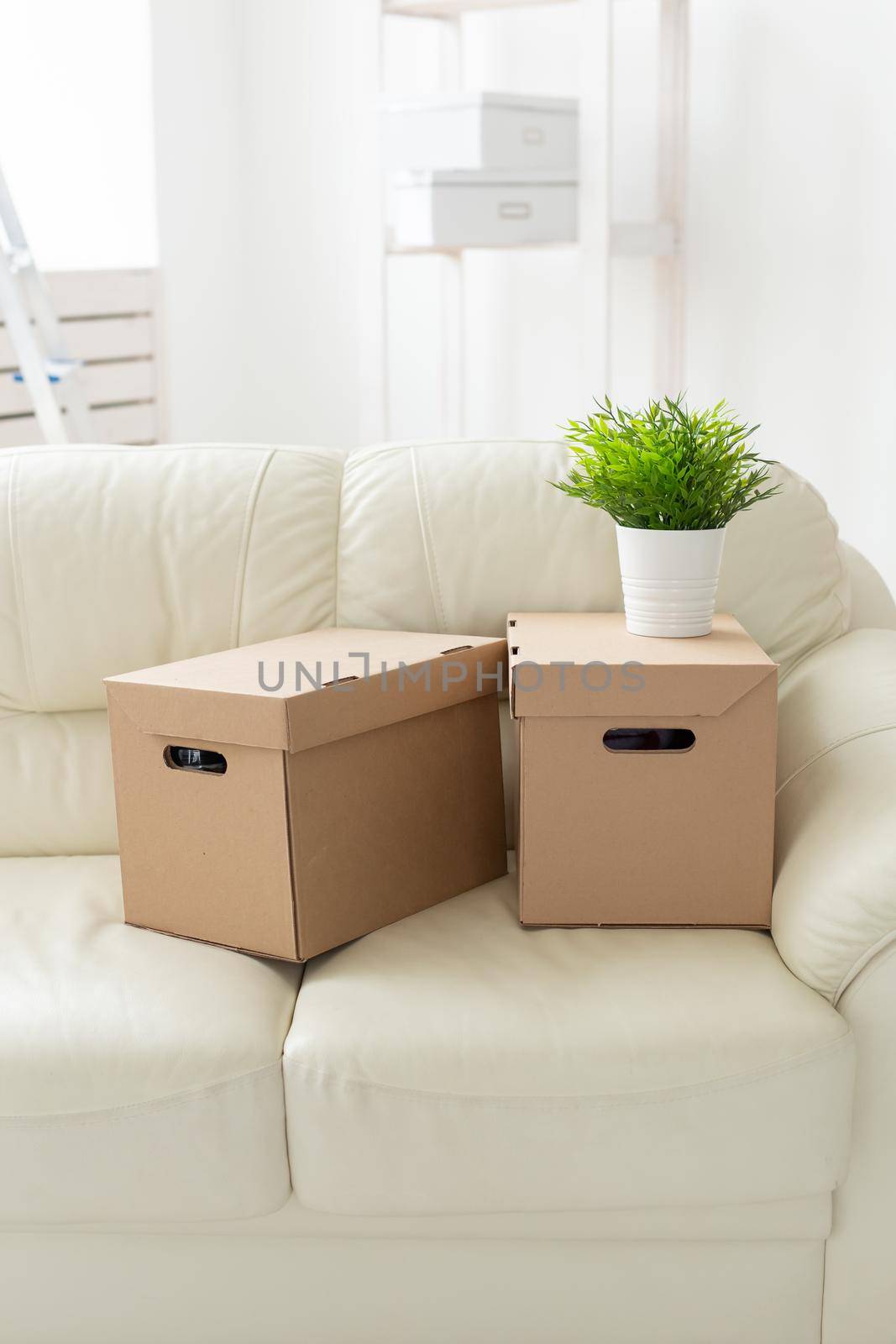Boxes with things and a flower in the pot stand on the couch during the move of residents to a new apartment. The concept of home buying and the hassle of moving. by Satura86