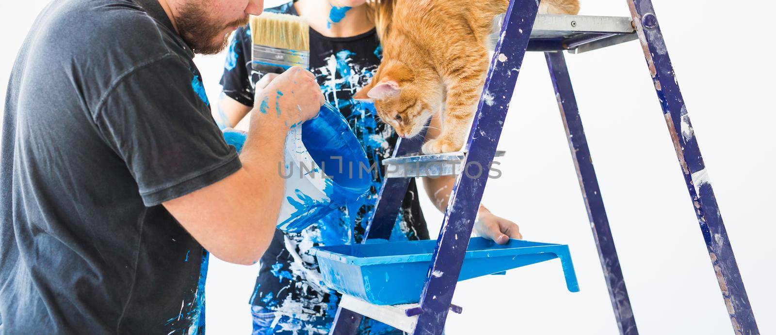 Repair, color, people concept - couple with cat going to paint the wall, they are preparing the color.