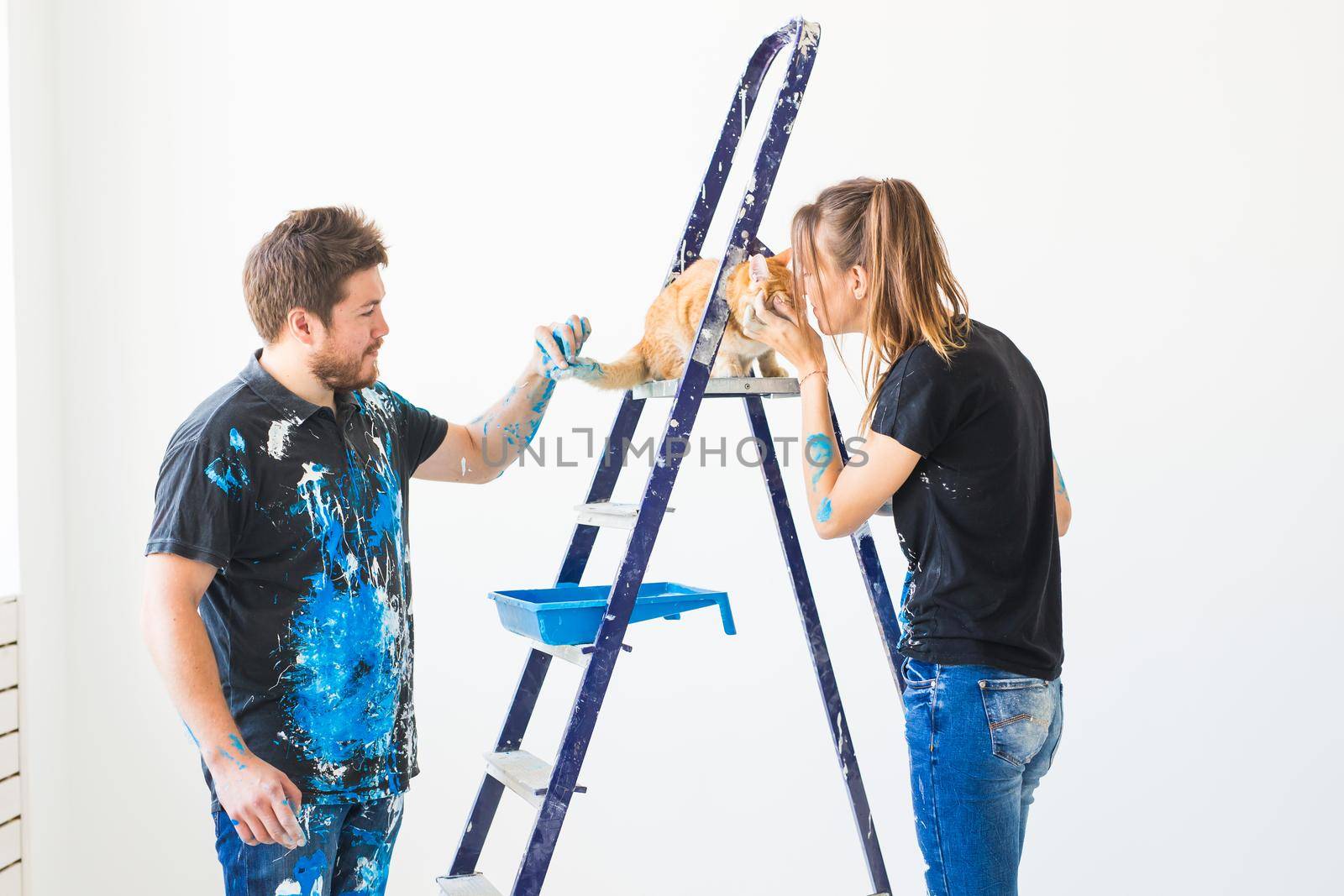 Pet, redecoration and relationship concept - Man and woman painter, designer and worker paints the wall. The cat sits next on the ladder and looks at the work. by Satura86
