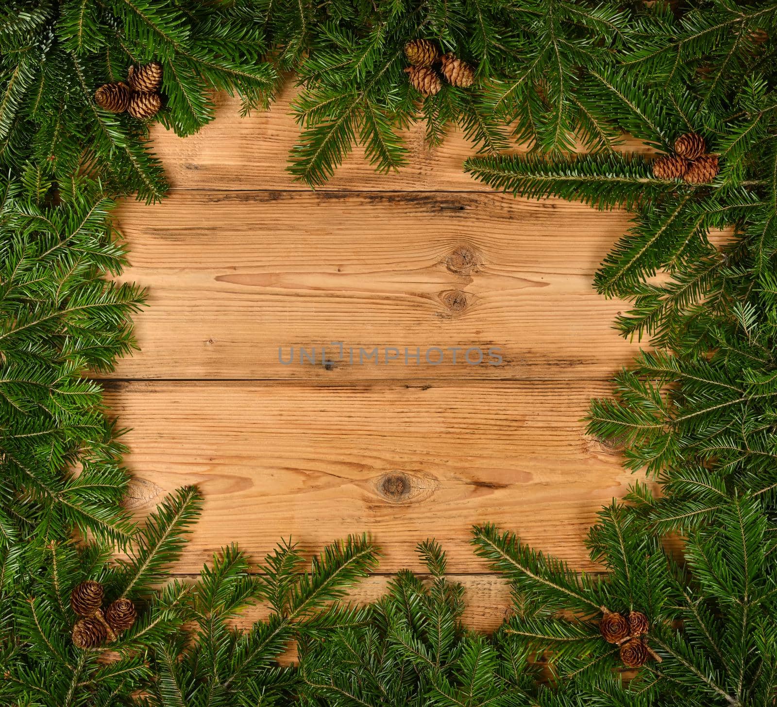 Close up border frame of fresh green spruce or pine Christmas tree branches with cones over brown wooden planks background with copy space