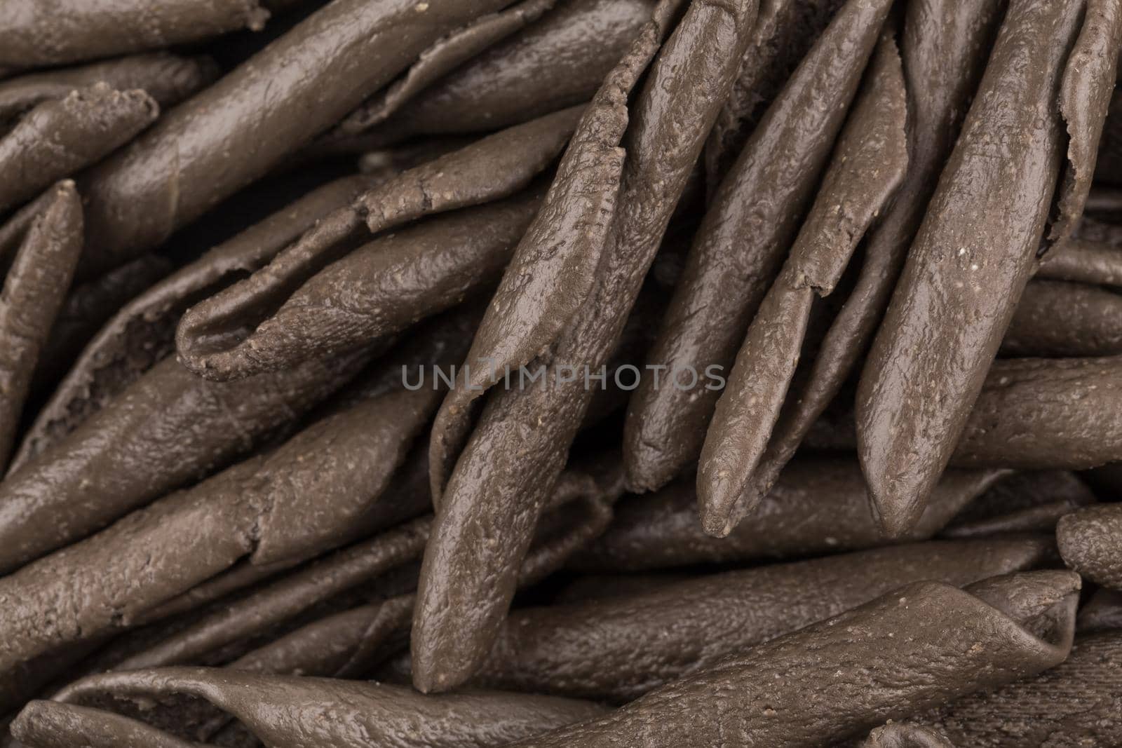 italian seppia pasta fusilli macaroni with cuttlefish ink, for background