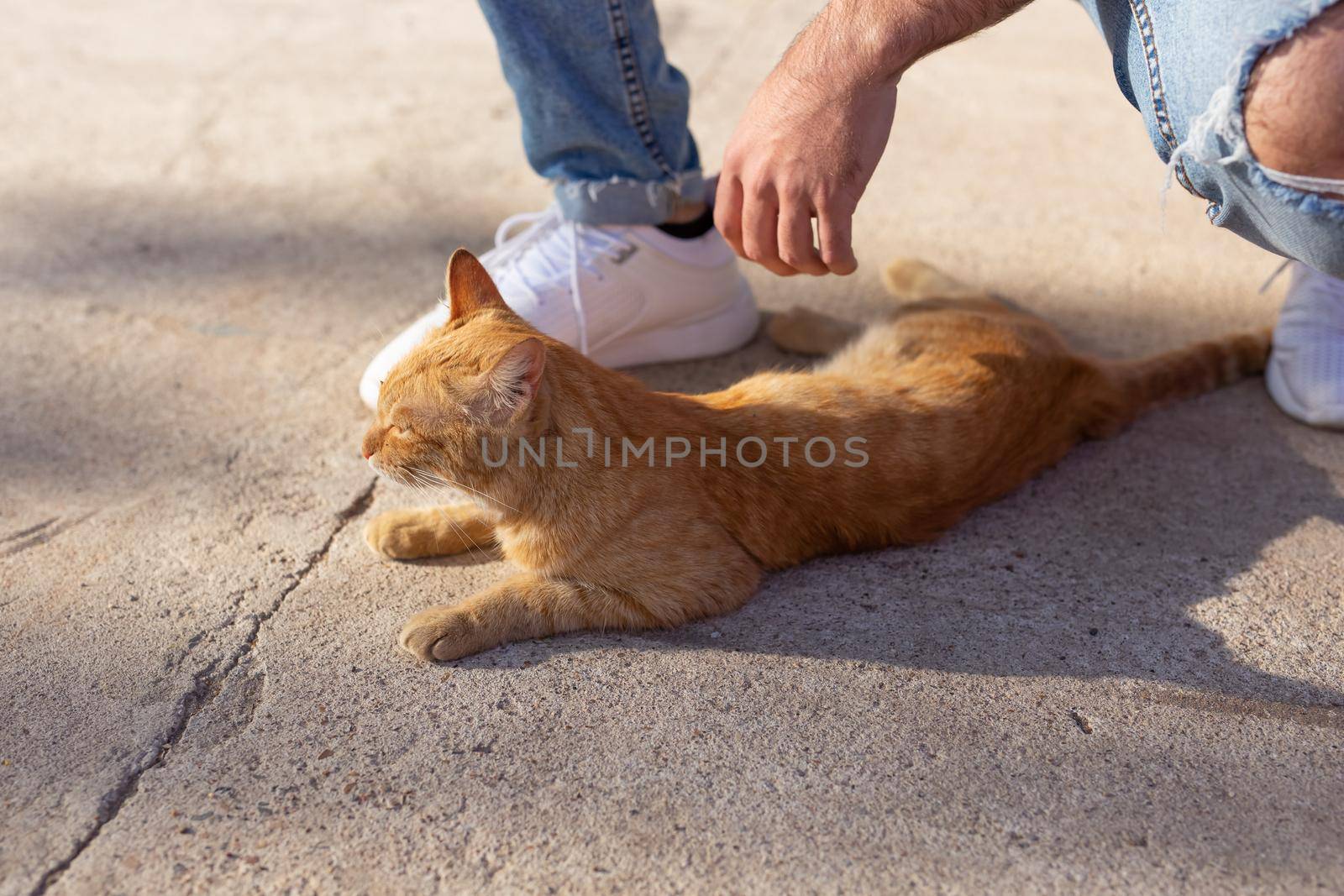 Pets and animals concept - Handsome young man plays with cute red cat outdoors.