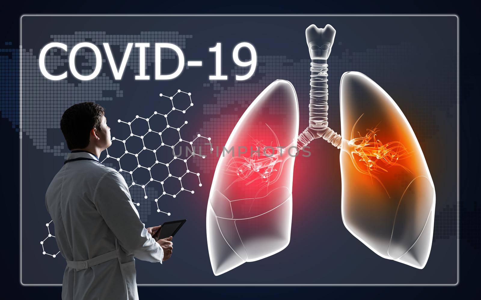 Doctor look at lung damage by COVID virus infection. Digital health concept