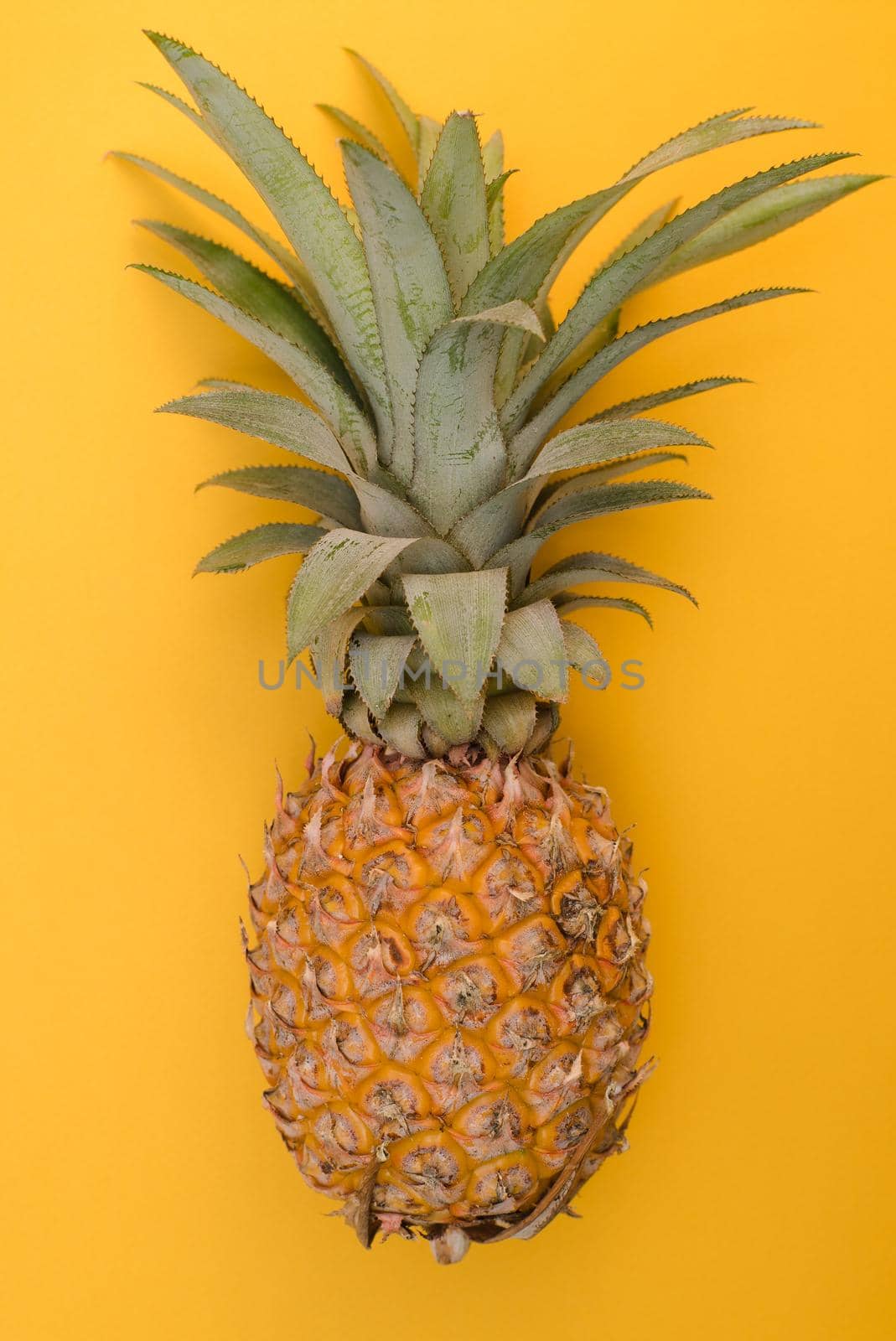 Yellow Thai pineapple and green Thai bananas on a yellow bright background