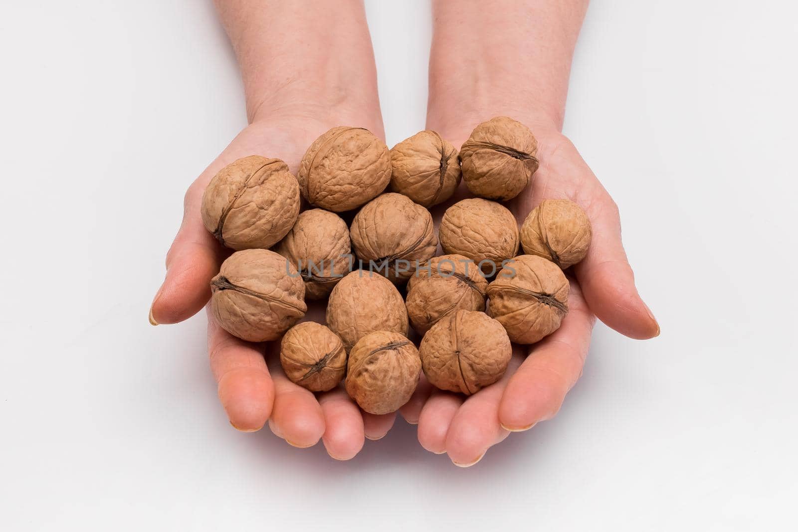 Woman stretches out her hands with a bunch of walnuts on a white background, isolated. Nut concept.