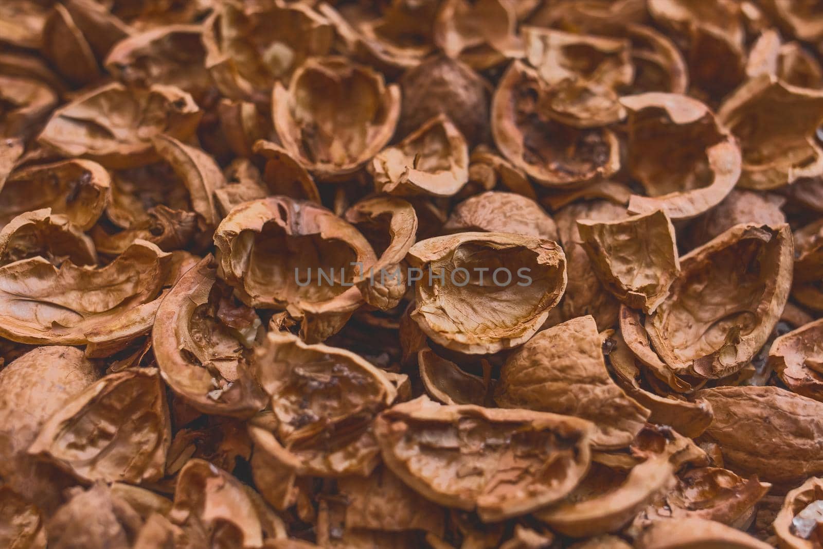 Walnut shell brown background, peeled walnut texture.