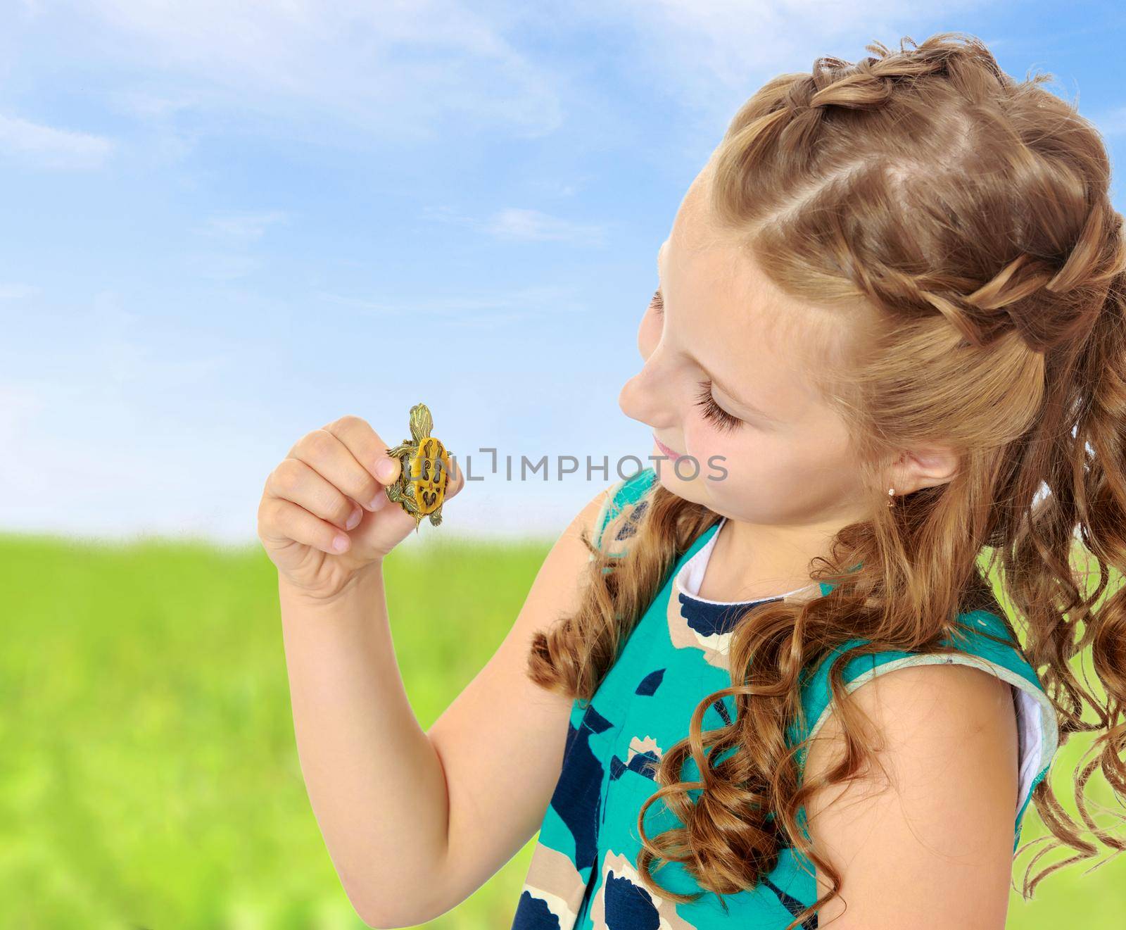 Caucasian little girl holding in hands a small turtle. Close-up.On the background of green grass and blue sky with clouds.