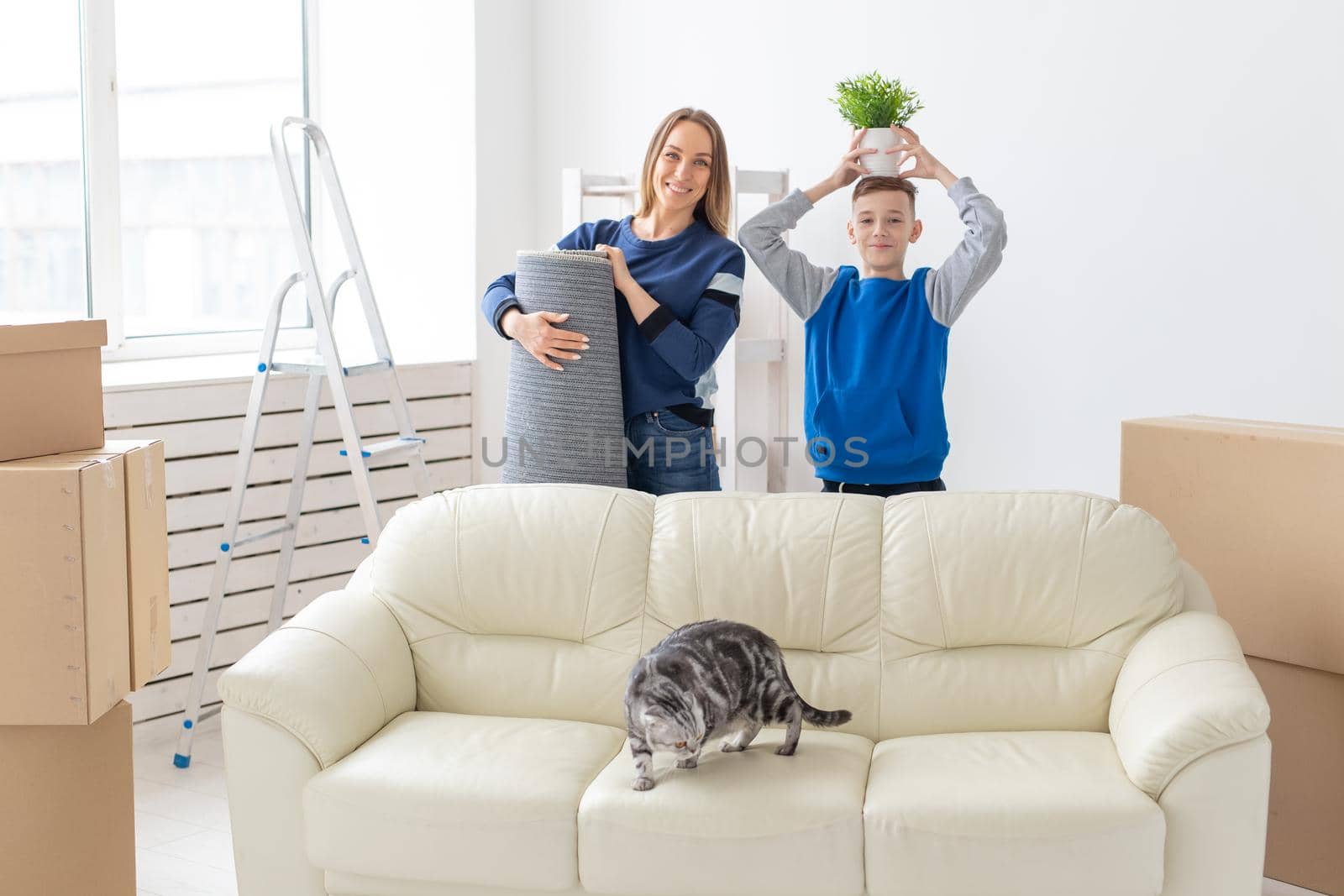 Young cute single mother and son are happy about the move to new house holding a lop-eared scottish cat and a pot of greens in their hands. Concept of housewarming and family space extensions. by Satura86