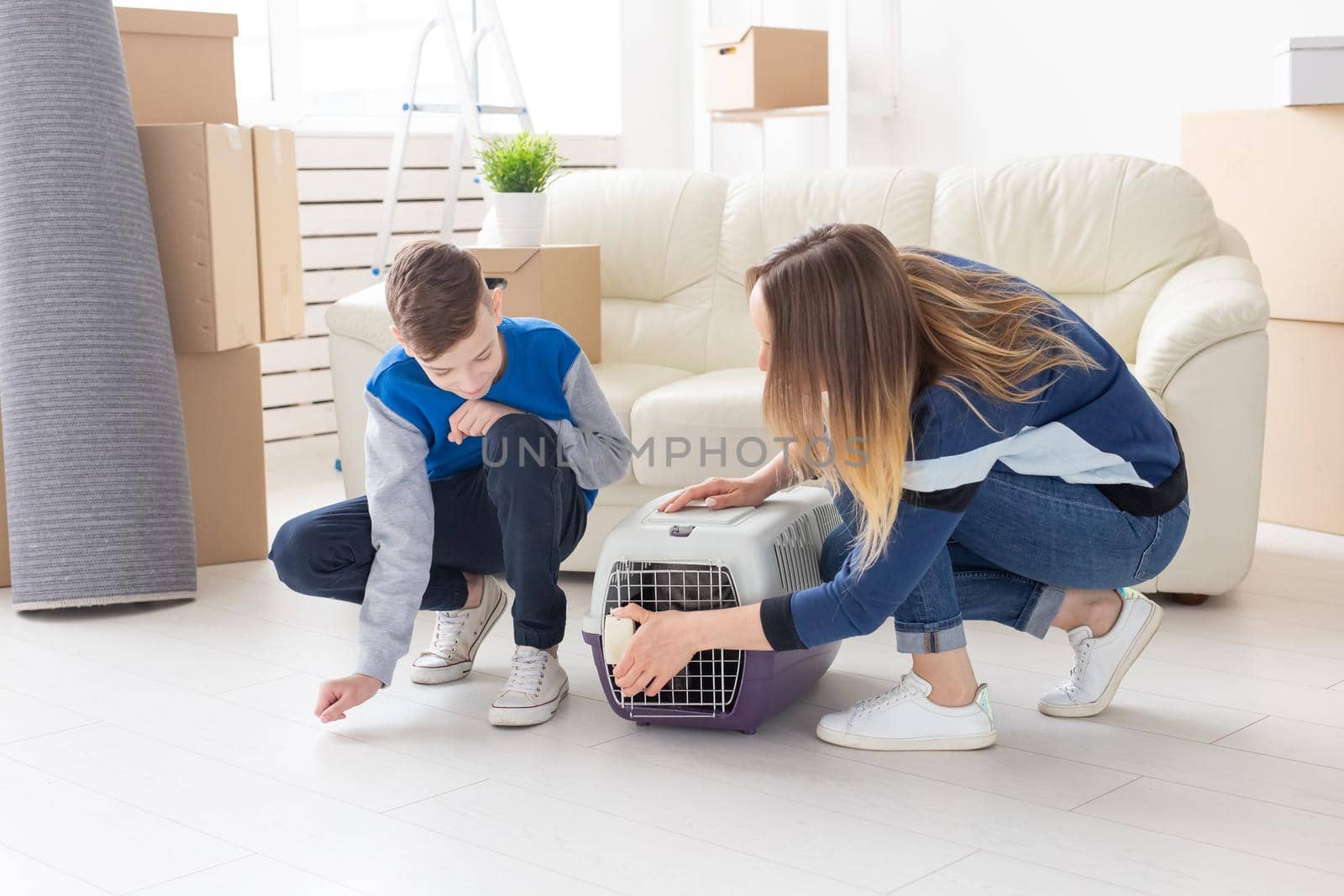 Slim young mother and little son launch their beautiful gray Scottish Fold cat into their new apartment in the living room. The concept of tradition with housewarming. by Satura86
