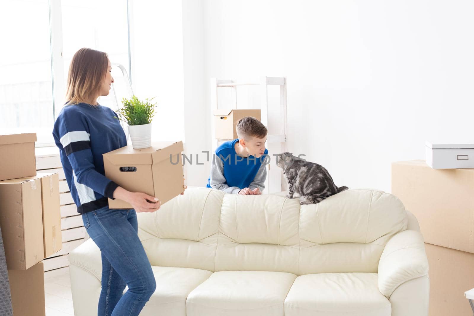 Slim positive young mother and a cute boy son arrange things and communicate with their scottish fold cat. Housewarming and relocation concept.