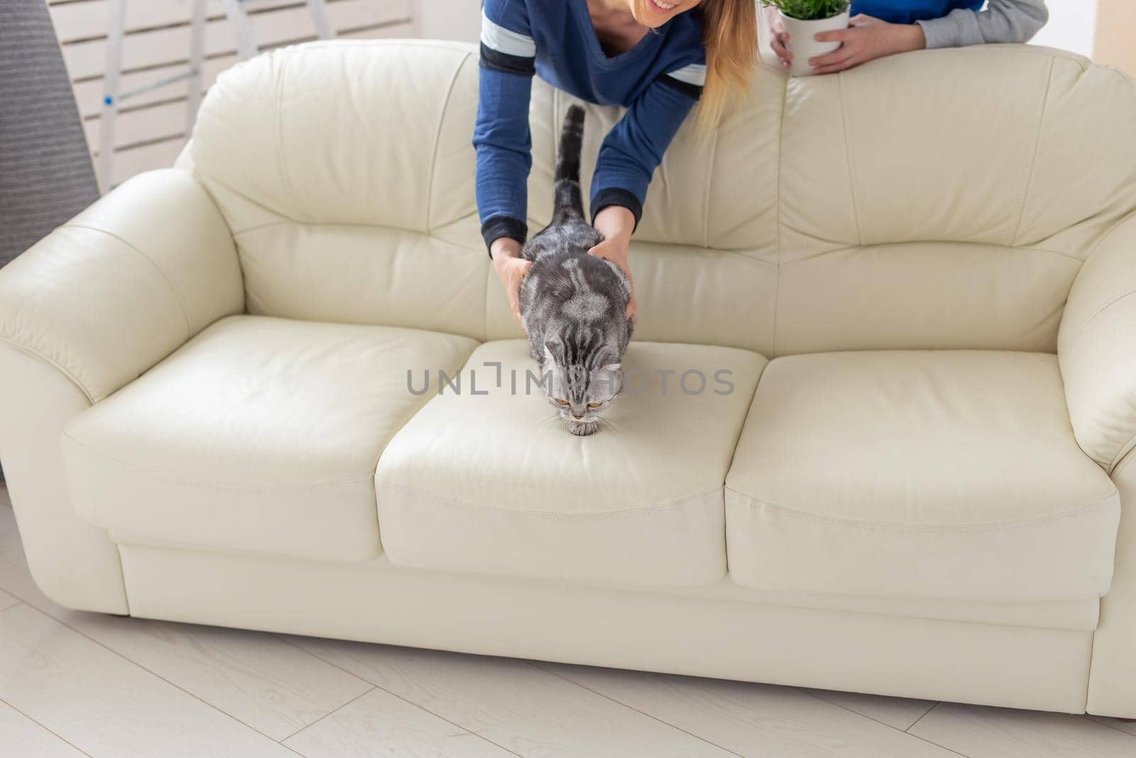 Young cute mother and son are happy about the move to new house holding a lop-eared scottish cat and a pot of greens in their hands. Concept of housewarming and family space extensions