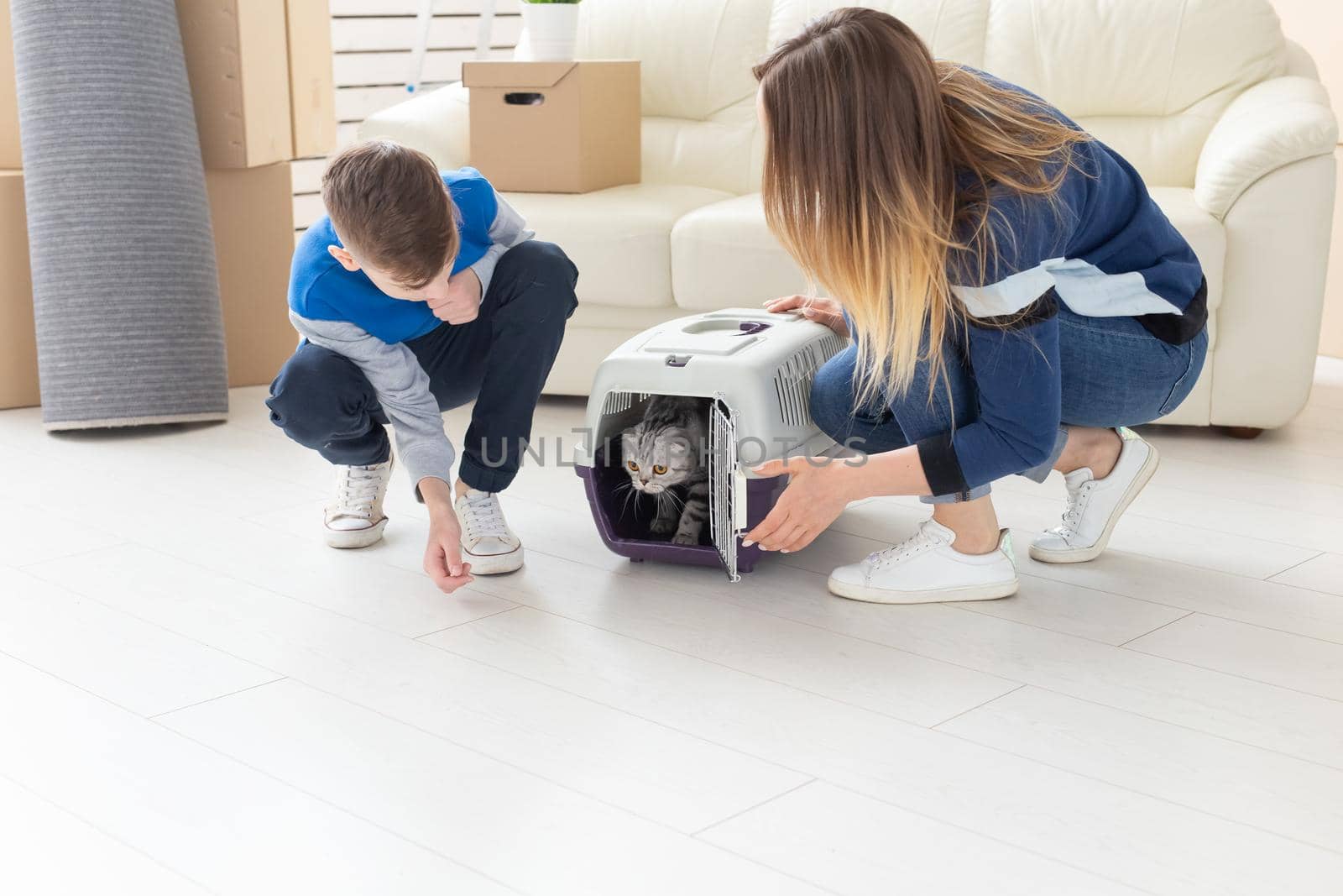 Slim young mother and little son launch their beautiful gray Scottish Fold cat into their new apartment in the living room. The concept of tradition with housewarming