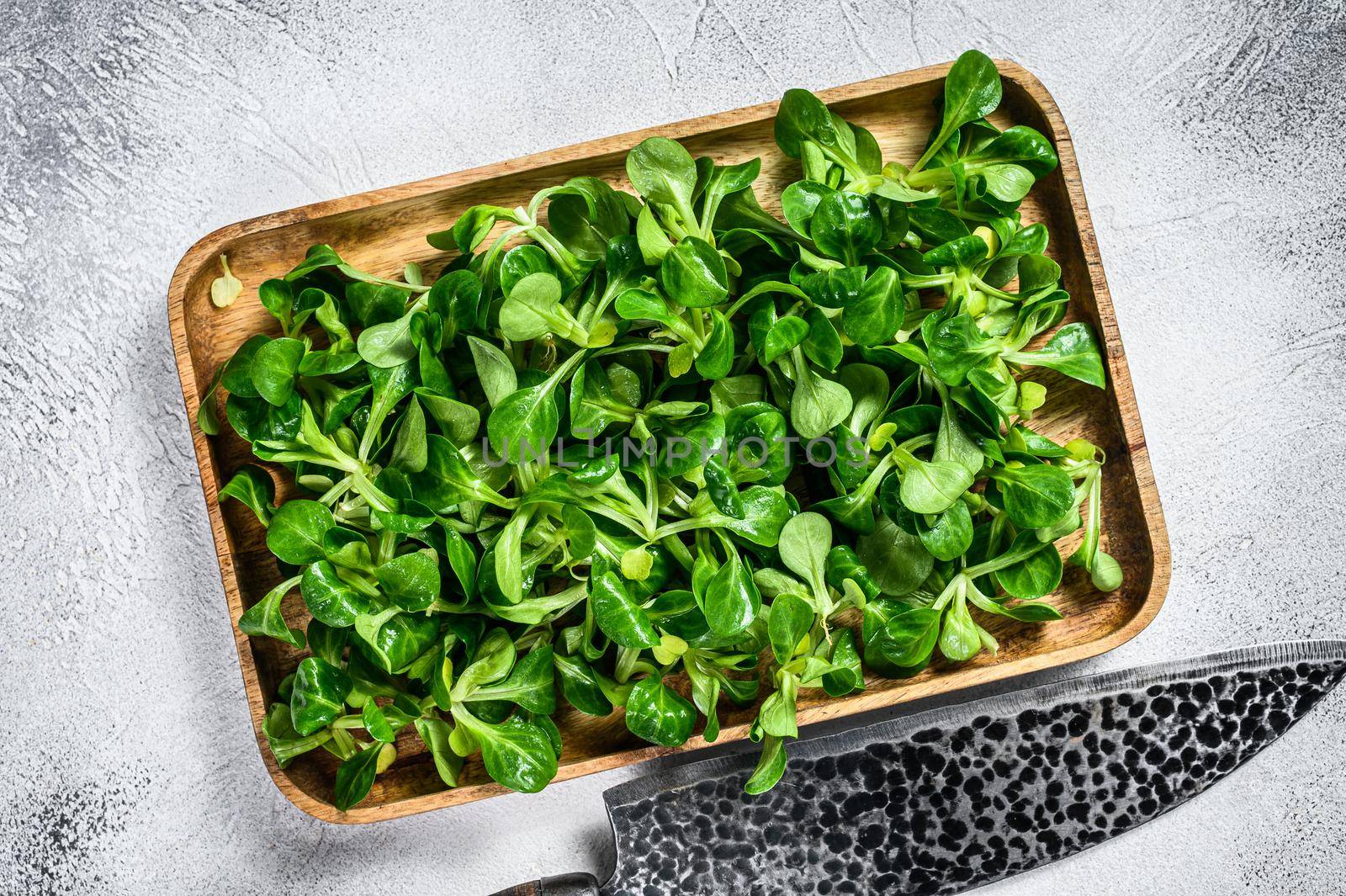 Raw green lambs lettuce Corn salad leaves in a wooden tray. White background. Top view by Composter