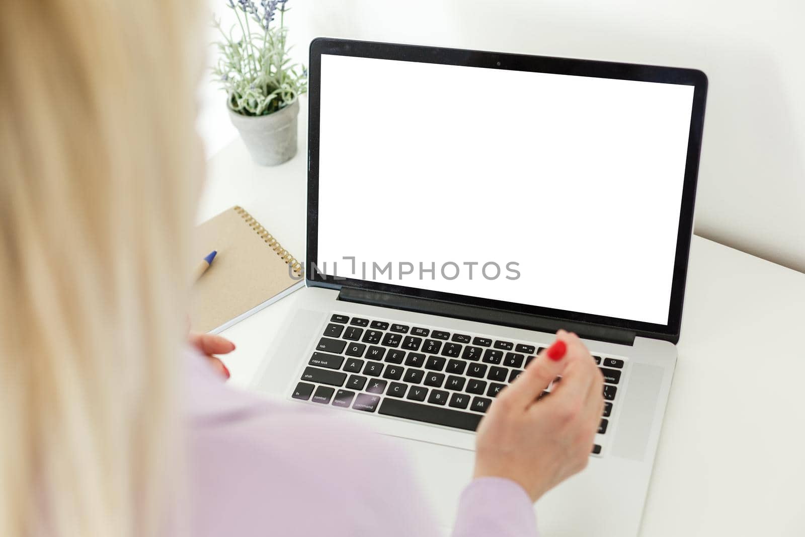 Rear view of business woman hands busy using laptop blank screen at office desk, with copyspace