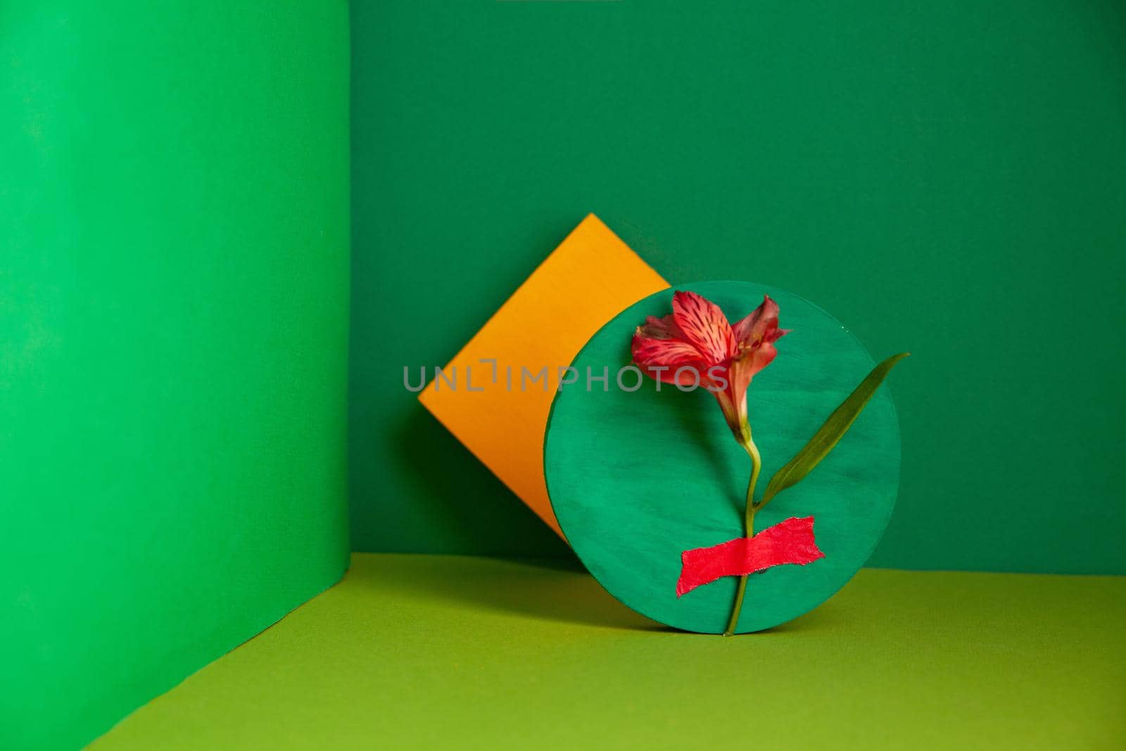 Gentle Peruvian lily flower attached to round board near yellow sticky notes in green studio