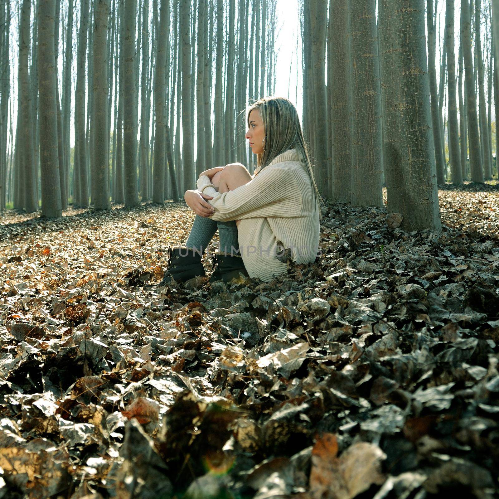 Beautiful blonde sitting on leaves in a forest of poplars