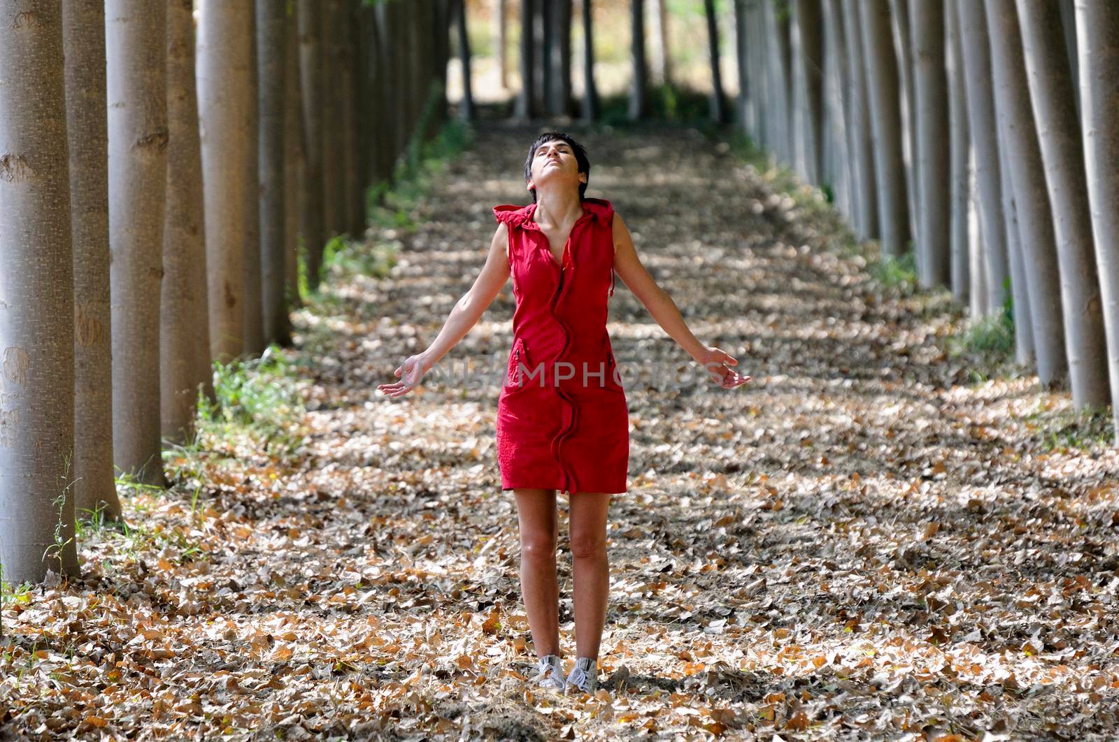 Woman dressed in red, meditating in the forest