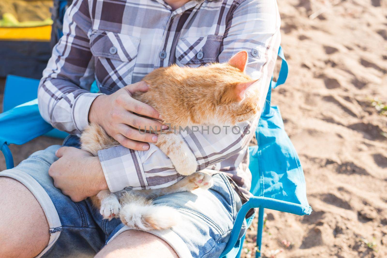 People, tourism and nature concept - Man holding cat on nature.