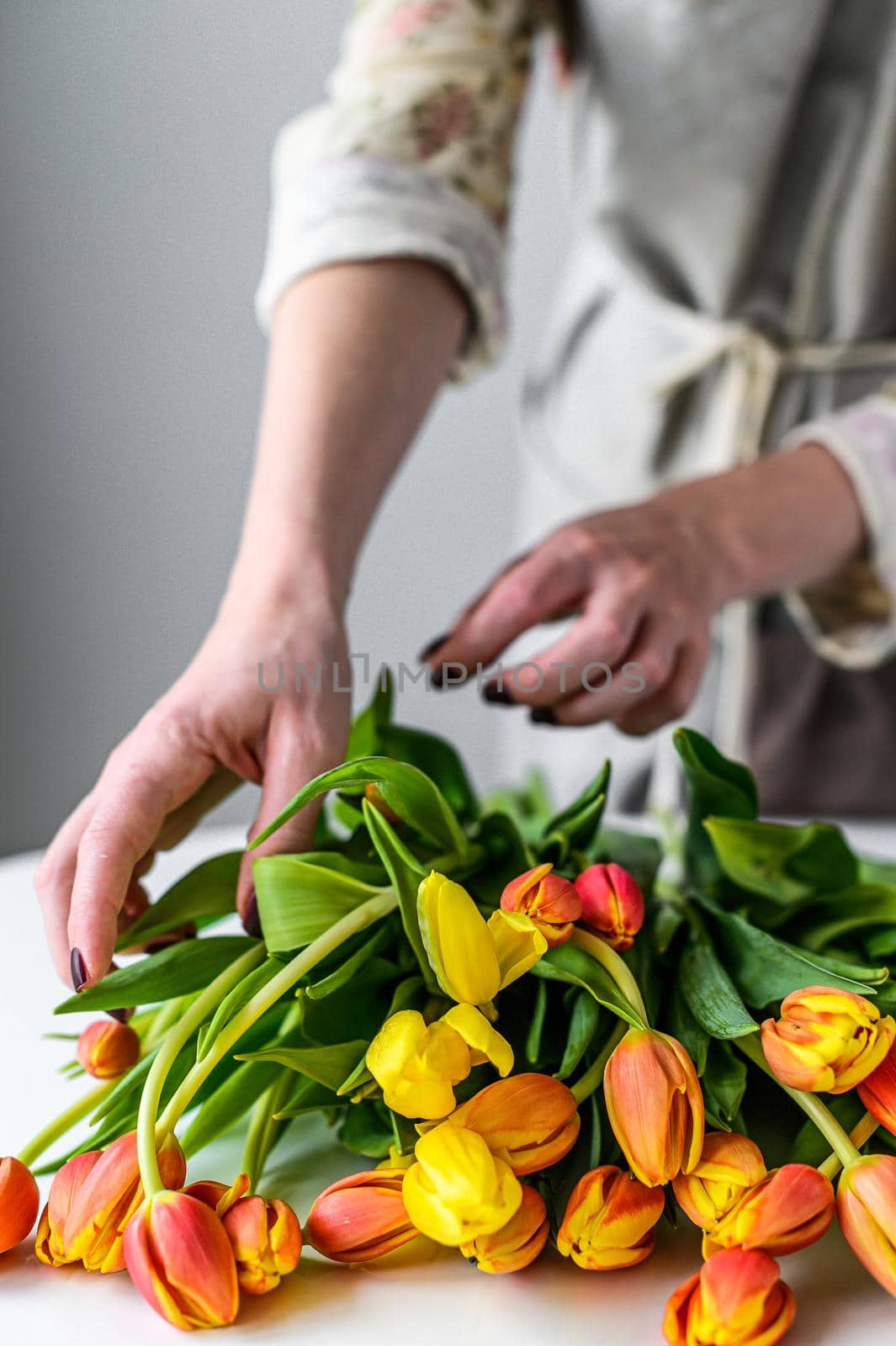 Florist at work. Woman making bouquet of spring tulips flowers. White background.