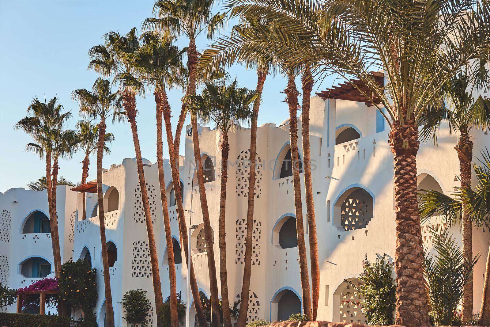 Beauty of egyptian hotel in the morning. Palms on the background of a white two-story hotel