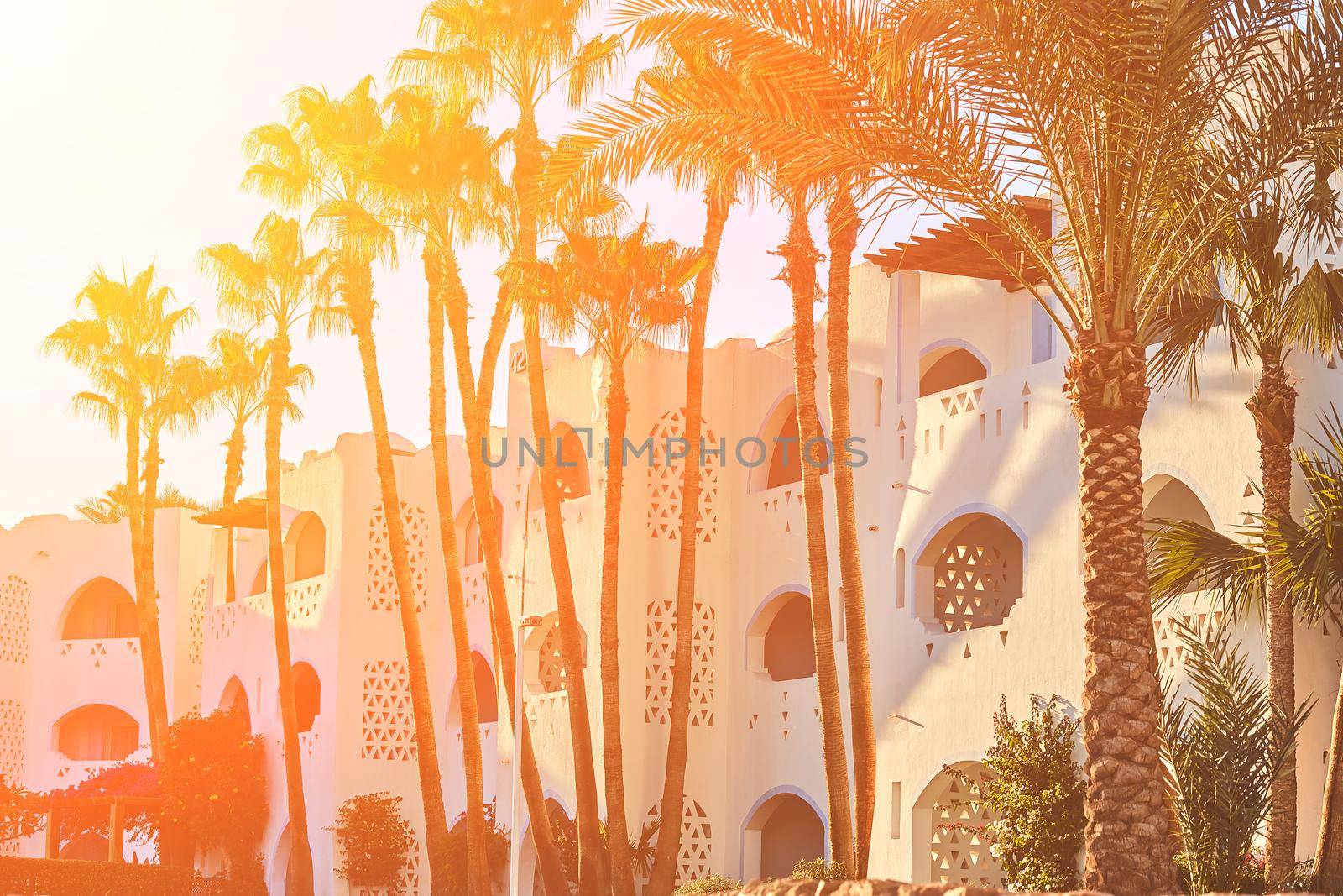 Beauty of egyptian hotel in the morning. Sun flare. Palms on the background of a white two-story hotel