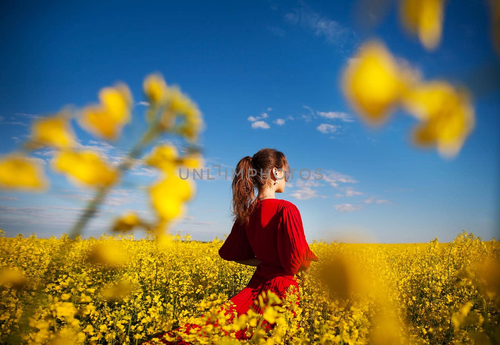 a young beautiful girl in the field