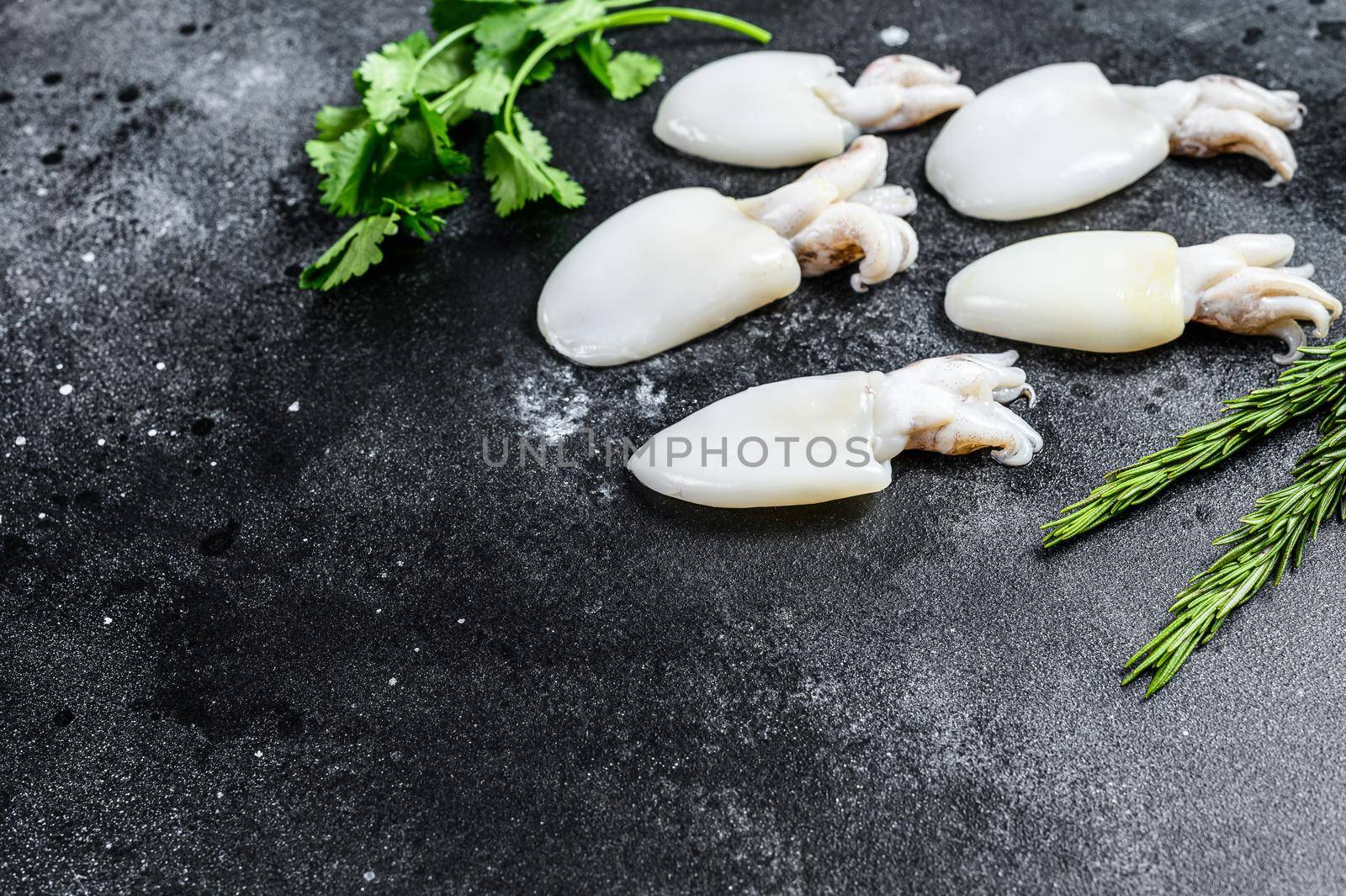 Fresh raw cuttlefish with rosemary and parsley. Black background. Top view. Copy space by Composter