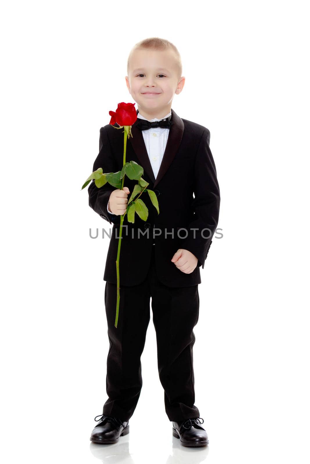 Beautiful little boy in a strict black suit , white shirt and tie.Boy holding a flower of a red rose on a long stem.Isolated on white background.