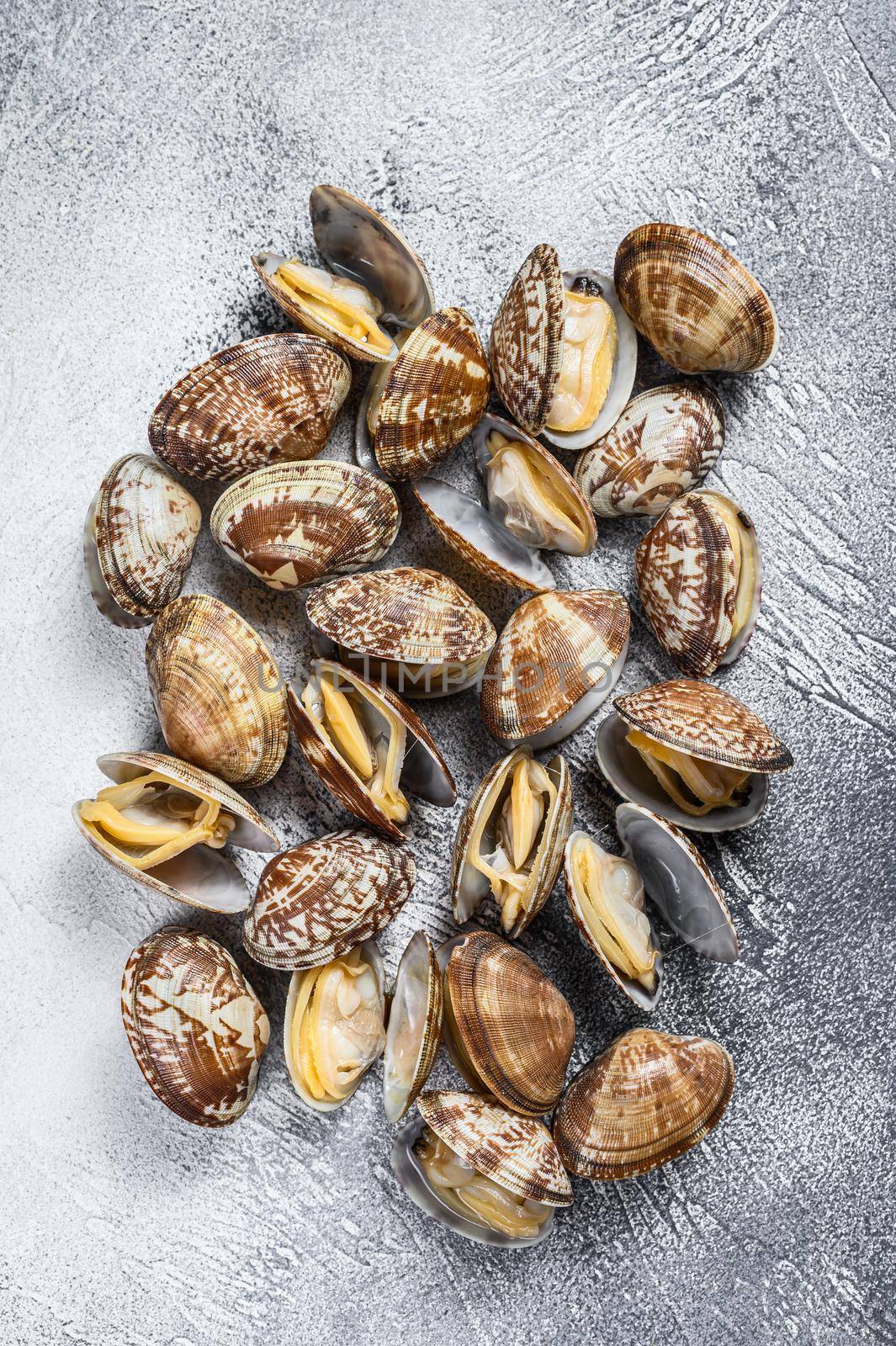 Fresh Steamed Clams on the kitchen table. White background. Top view by Composter