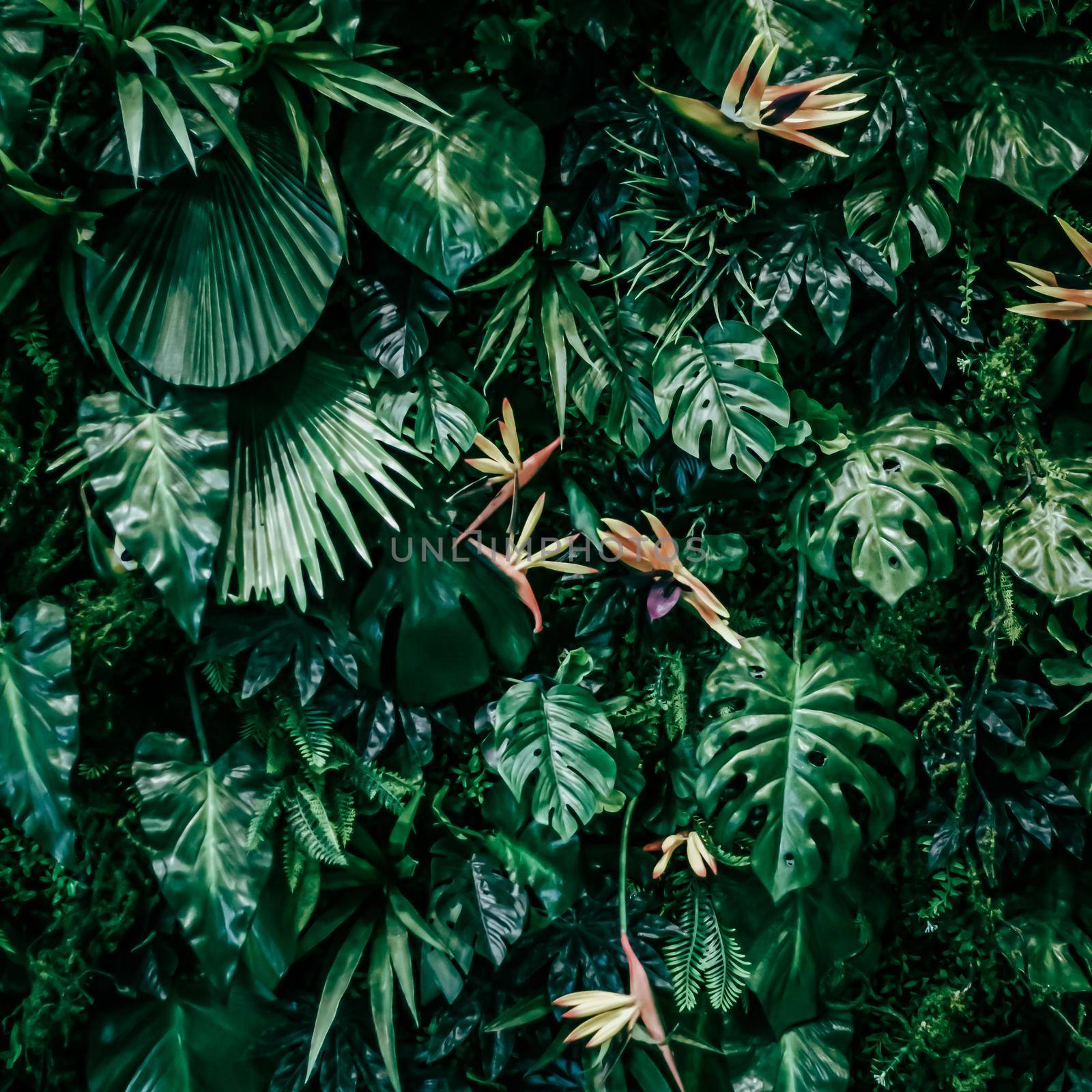 Tropical leaves as nature and environmental background, botanical garden and floral backdrop, plant growth and landscape design by Anneleven