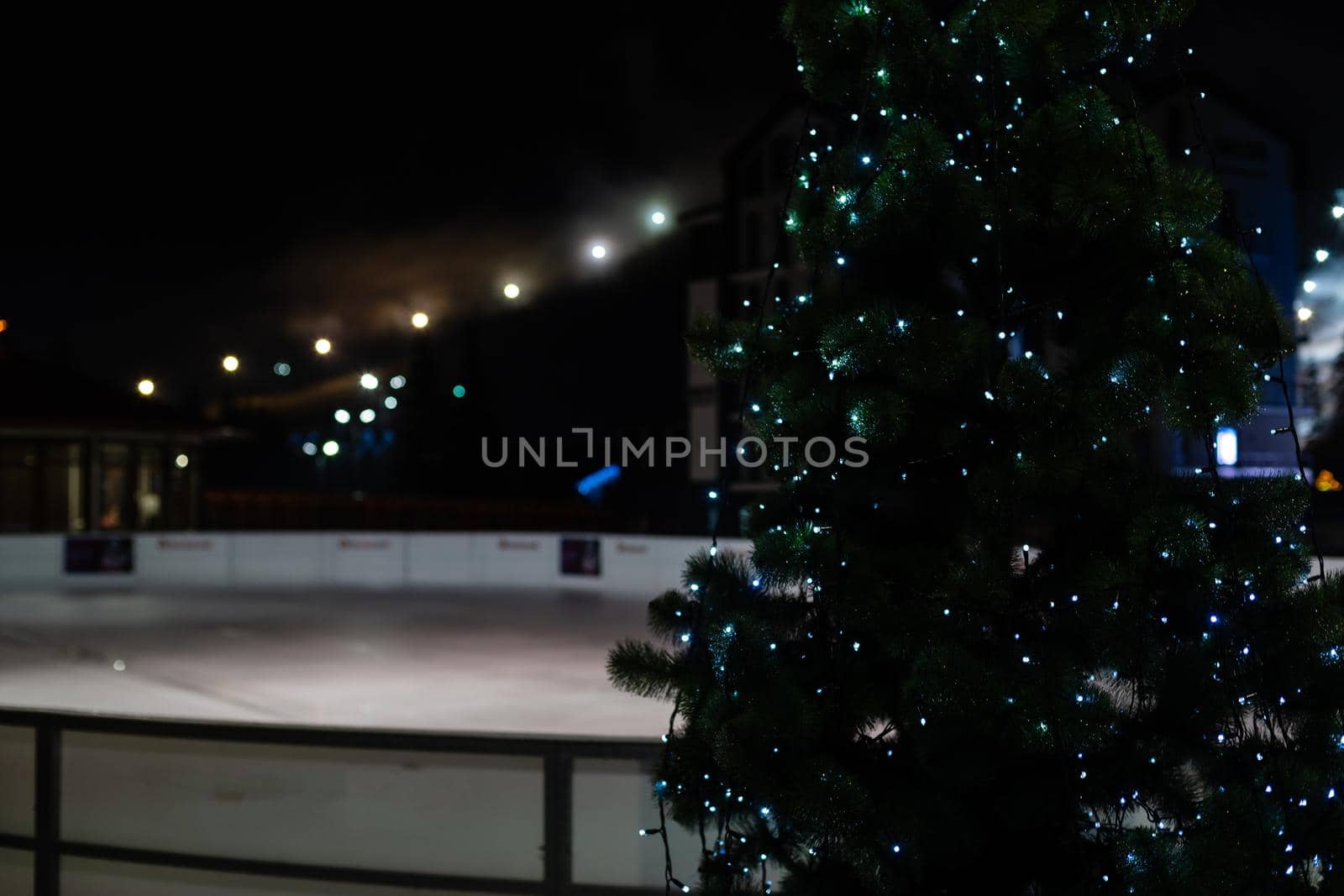 Night View of Ice Rink and christmas tree.