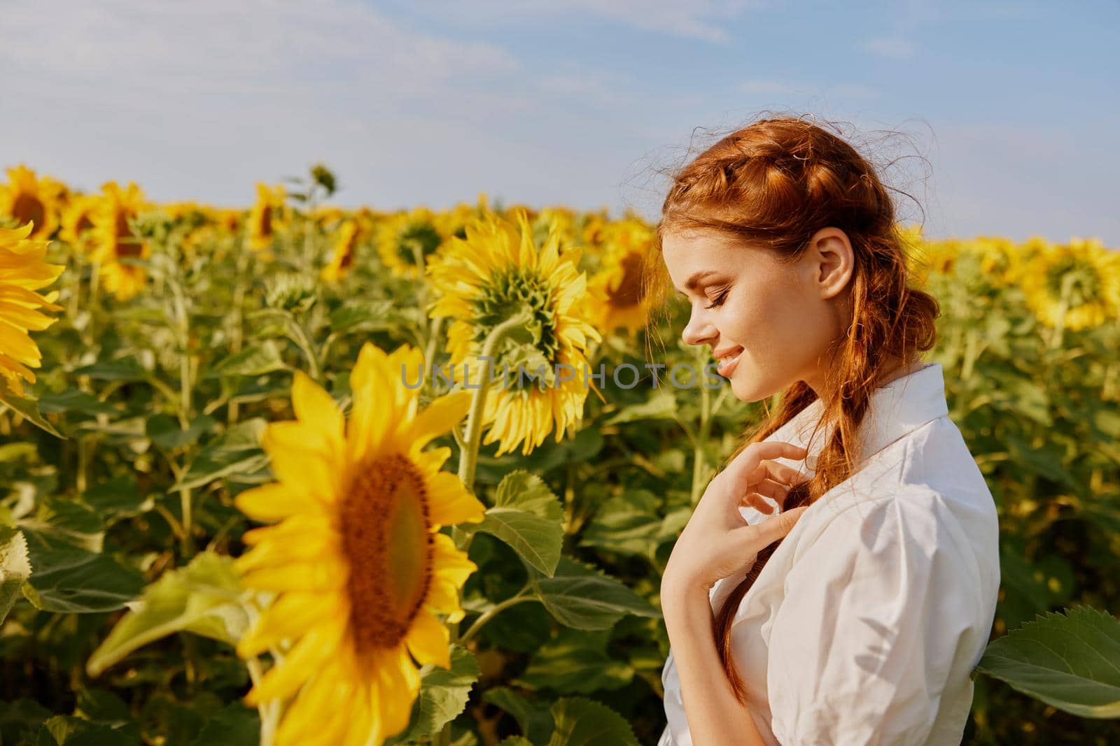 woman with two pigtails looking in the sunflower field countryside. High quality photo