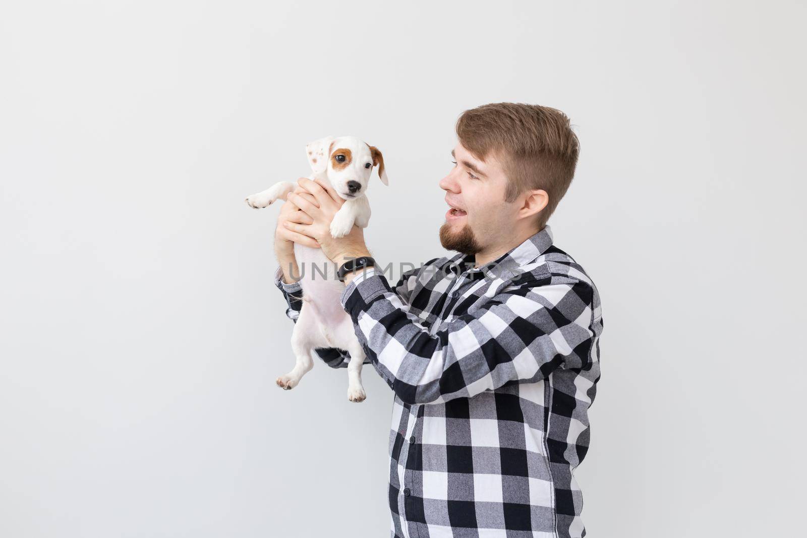 people, pets and animals concept - close up of young man holding jack russell terrier puppy on white background.