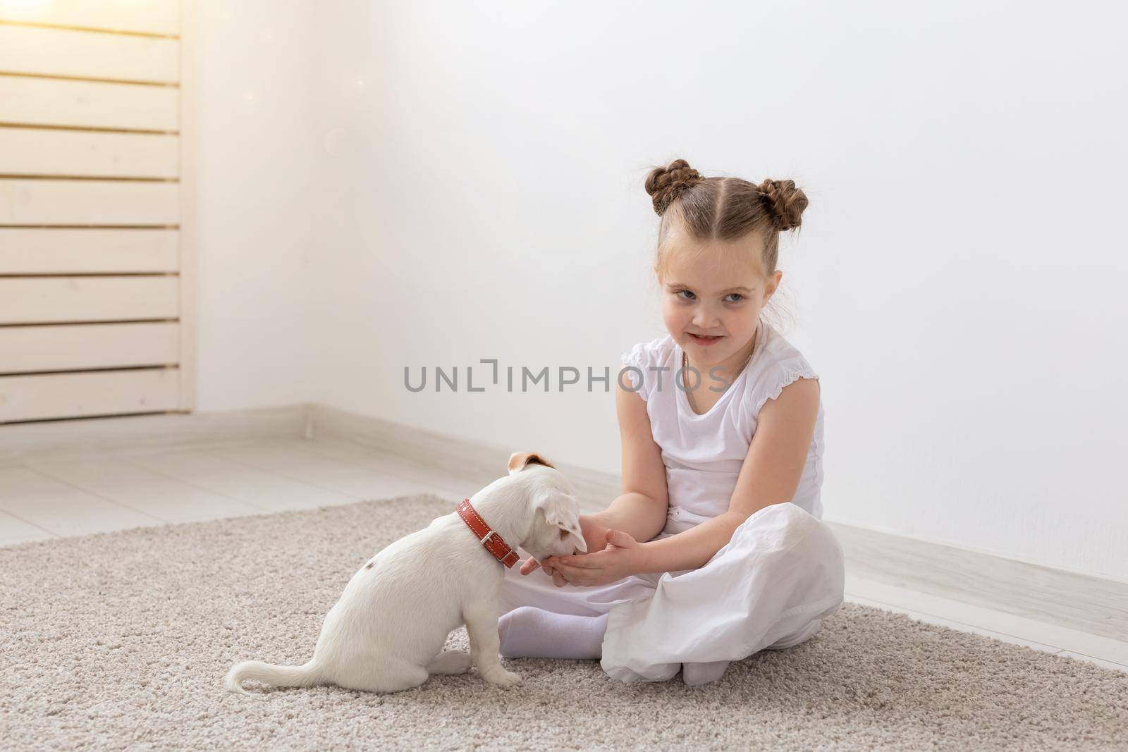 Children, pets and animals concept - little child girl in pajamas playing with Jack Russell Terrier puppy on the floor by Satura86
