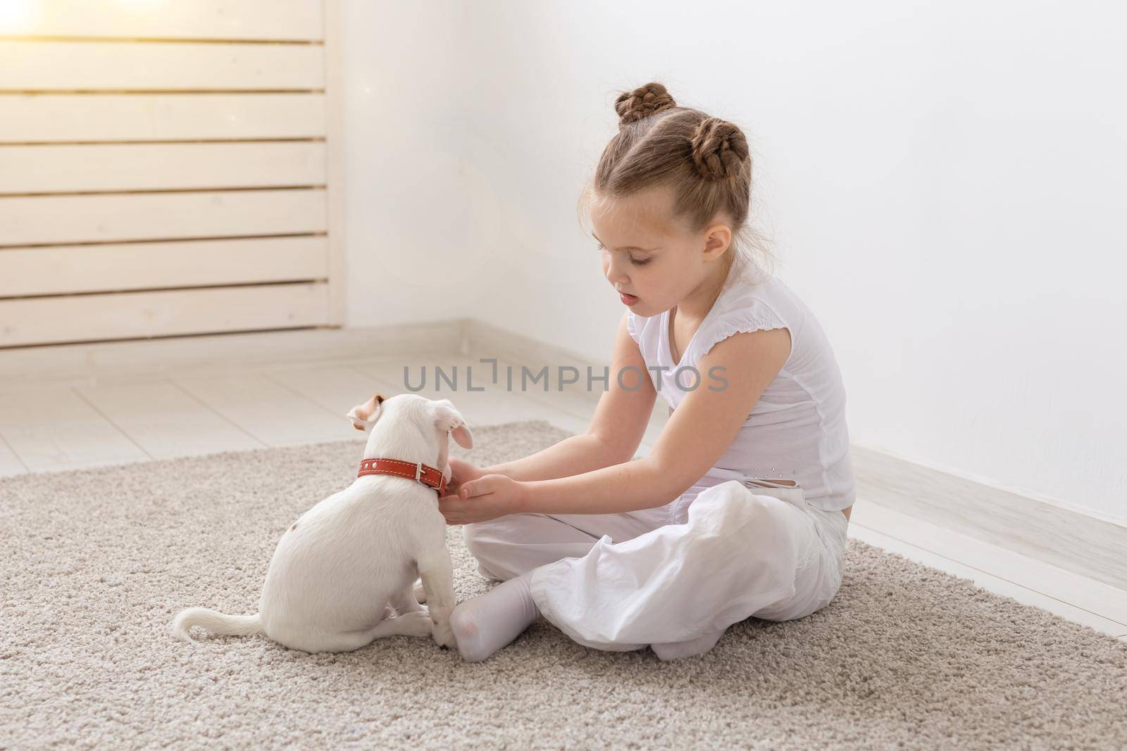 people, children and pets concept - little child girl sitting on the floor with cute puppy Jack Russell Terrier and playing by Satura86