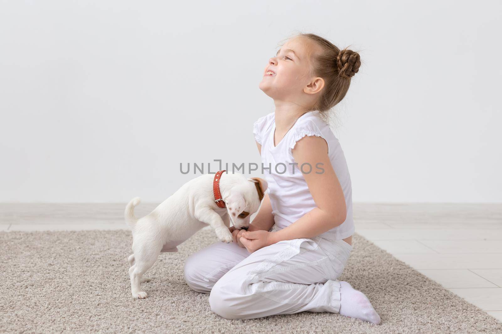 Pets and animal concept - Child girl playing with puppy Jack Russell Terrier by Satura86