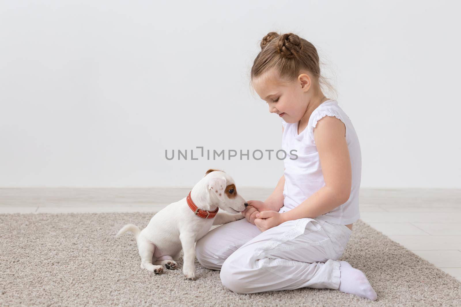 Animals, children and pets concept - little child girl sitting on the floor with cute puppy and playing.
