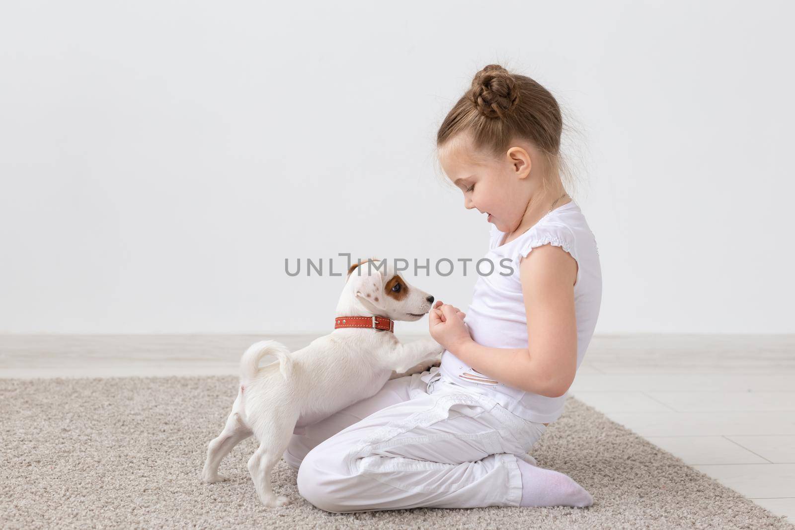 People, pets and animal concept - Little girl sitting on the floor over white background and holding puppy Jack Russell Terrier by Satura86