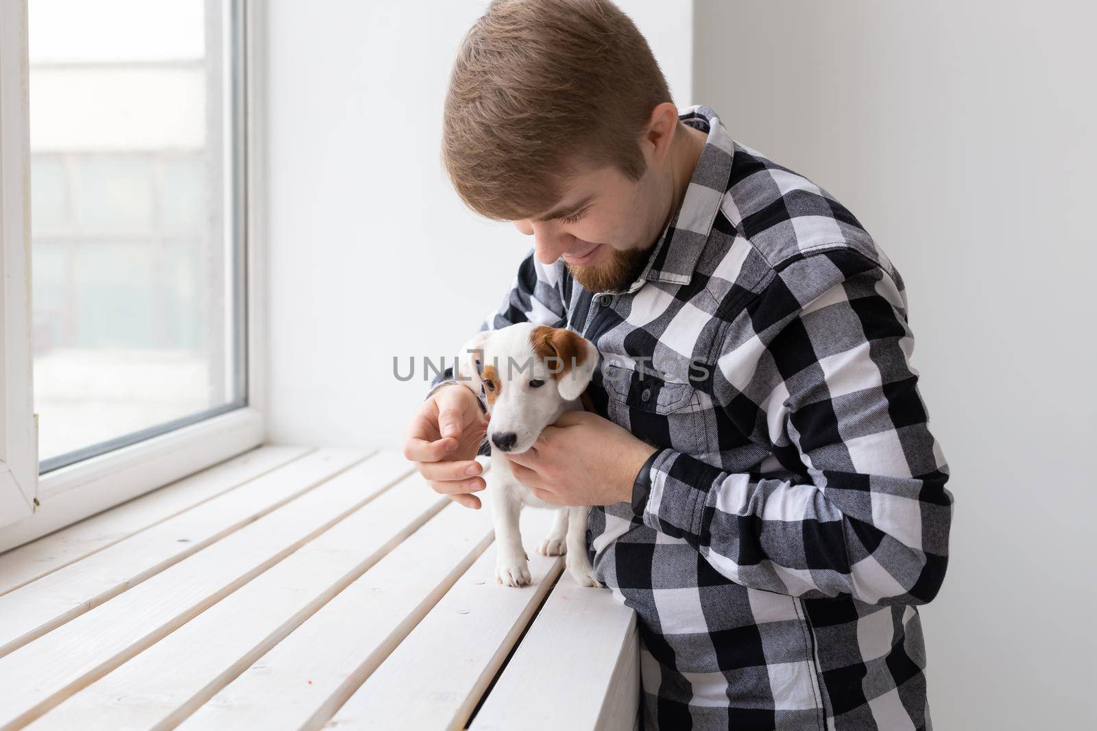 people, pets and animals concept - young man hugging jack russell terrier puppy near window on white background.