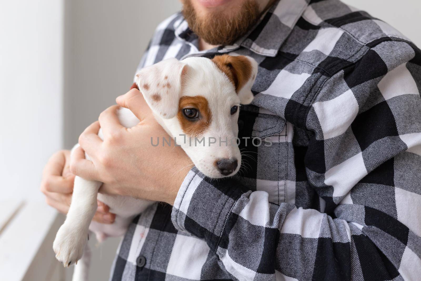 people, pets and animals concept - close up of young man holding jack russell terrier puppy on white background by Satura86