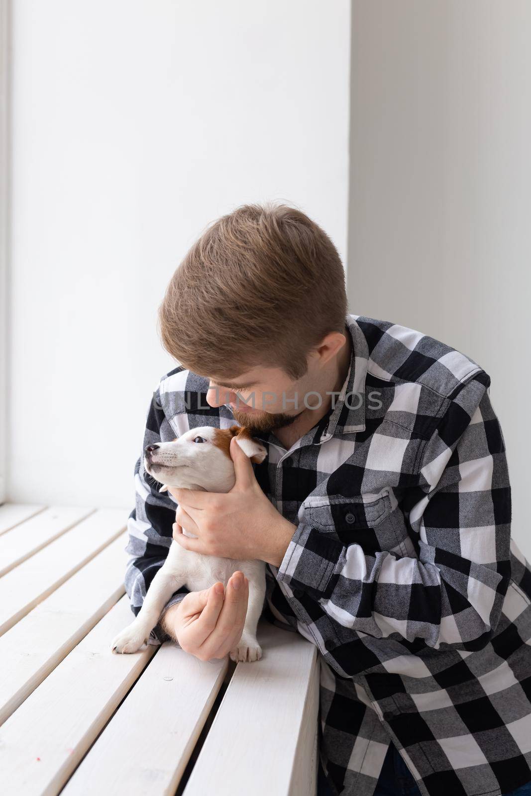 people, pets and animals concept - young man hugging jack russell terrier puppy near window on white background by Satura86