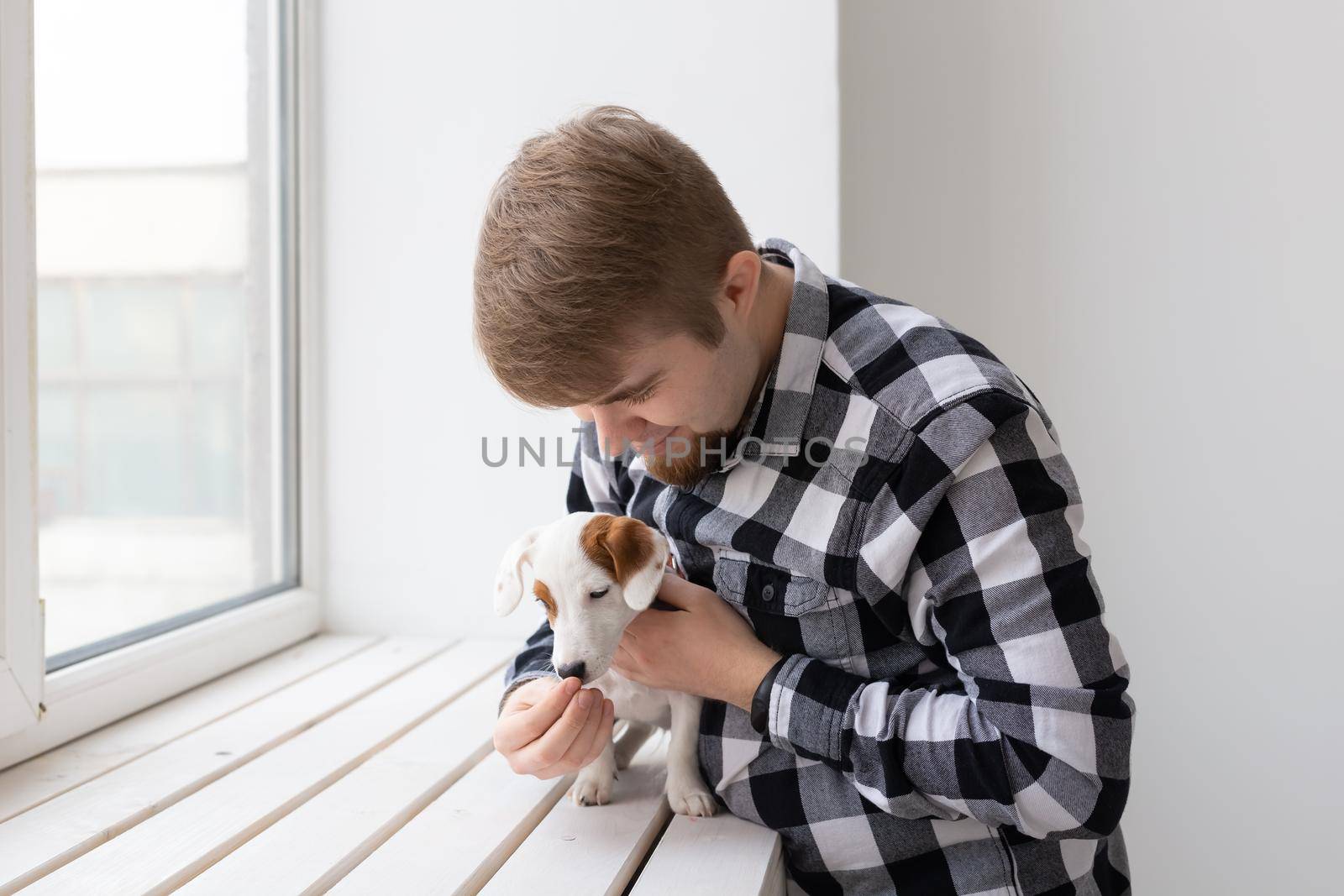 people, pets and animals concept - young man hugging jack russell terrier puppy by Satura86