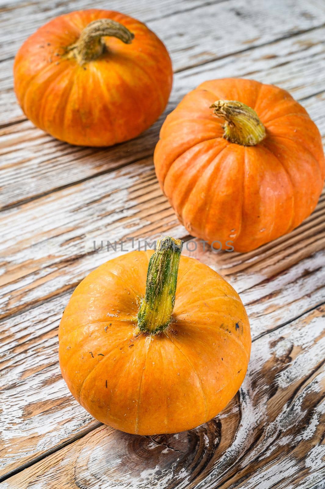 Autumn Pumpkin Thanksgiving Background, orange pumpkins on a wooden table. White wooden background. Top view by Composter