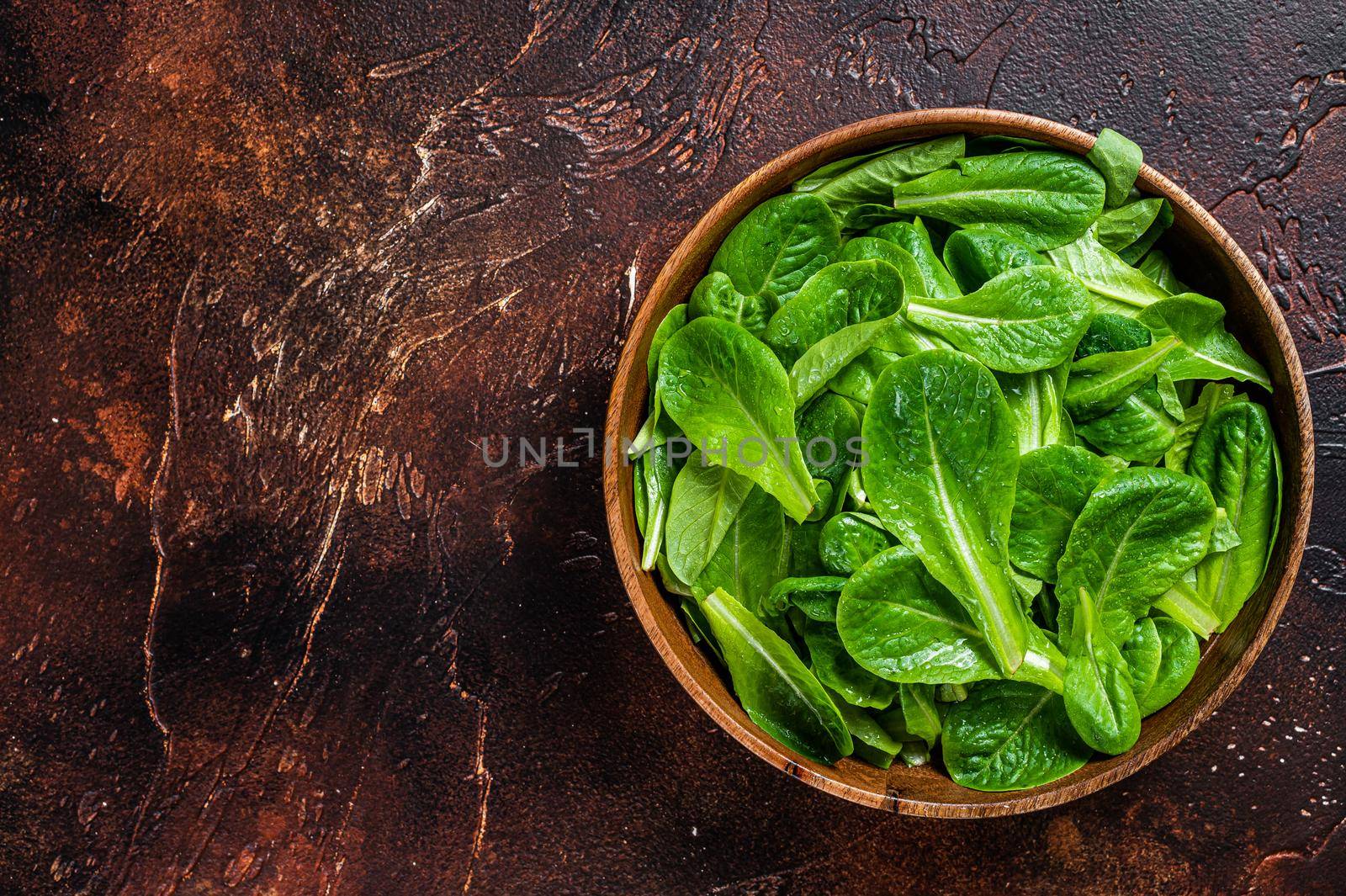 Young romain green salad leaves in wooden plate. Dark background. Top view. Copy space.