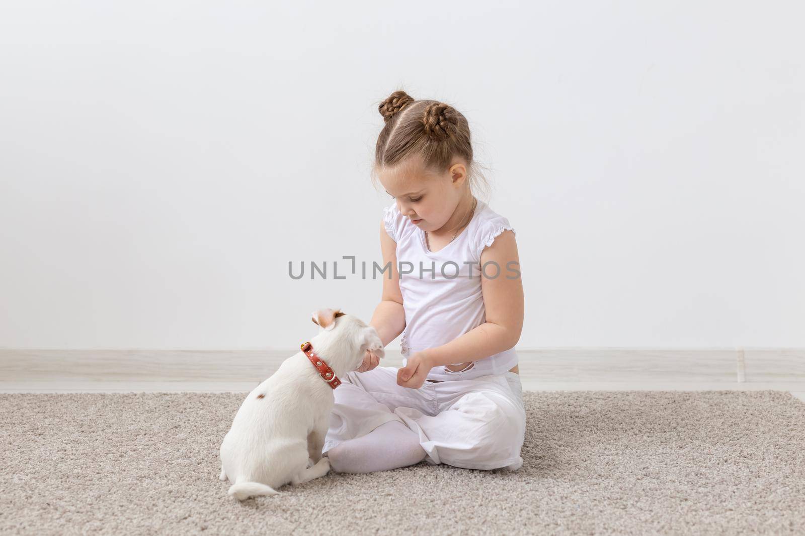 Childhood, pets and dogs concept - Little puppy and child girl in white shirt having fun by Satura86