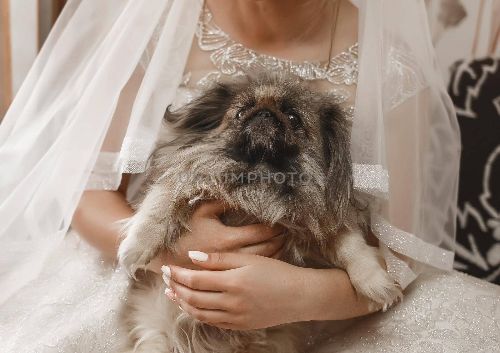 Bride in wedding dress holds a small dog close-up.