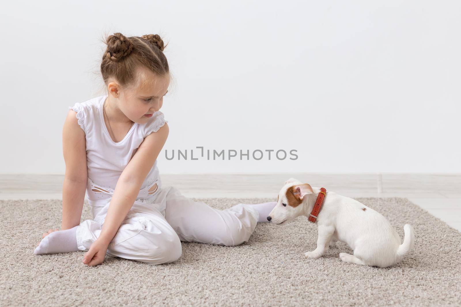 Children, pets and animal concept - Child girl play with her Jack Russell Terrier puppy indoors by Satura86