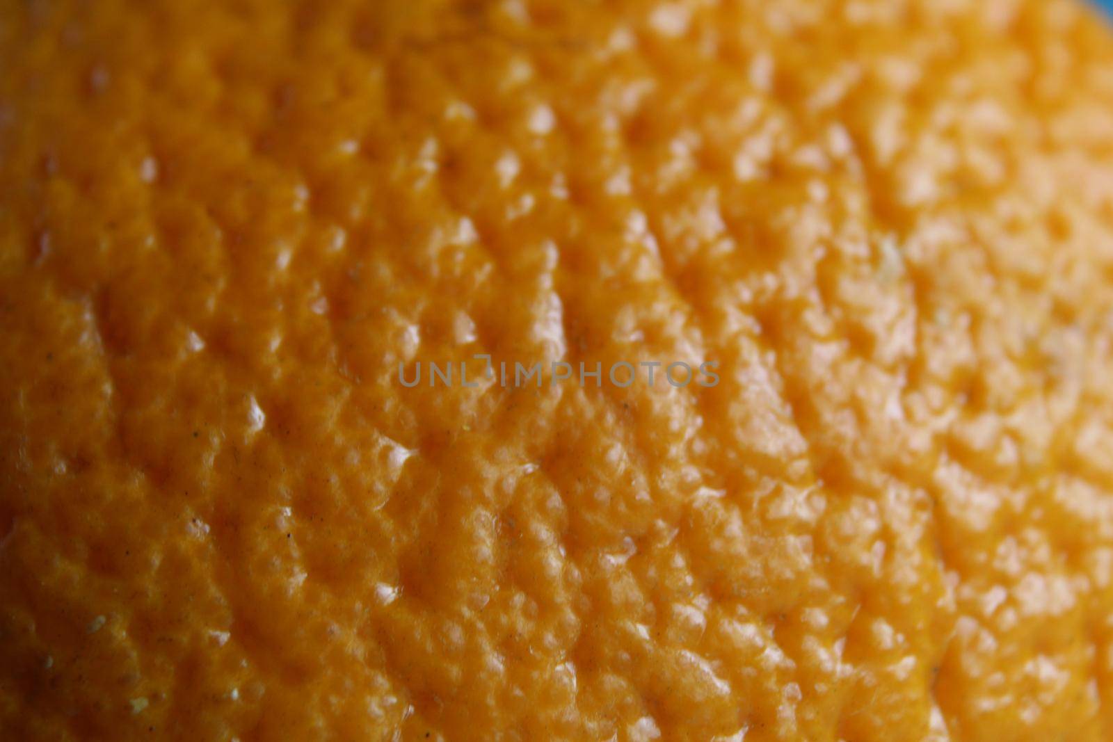 orange peel fruit close-up. Macro photo of eating orange fruit.