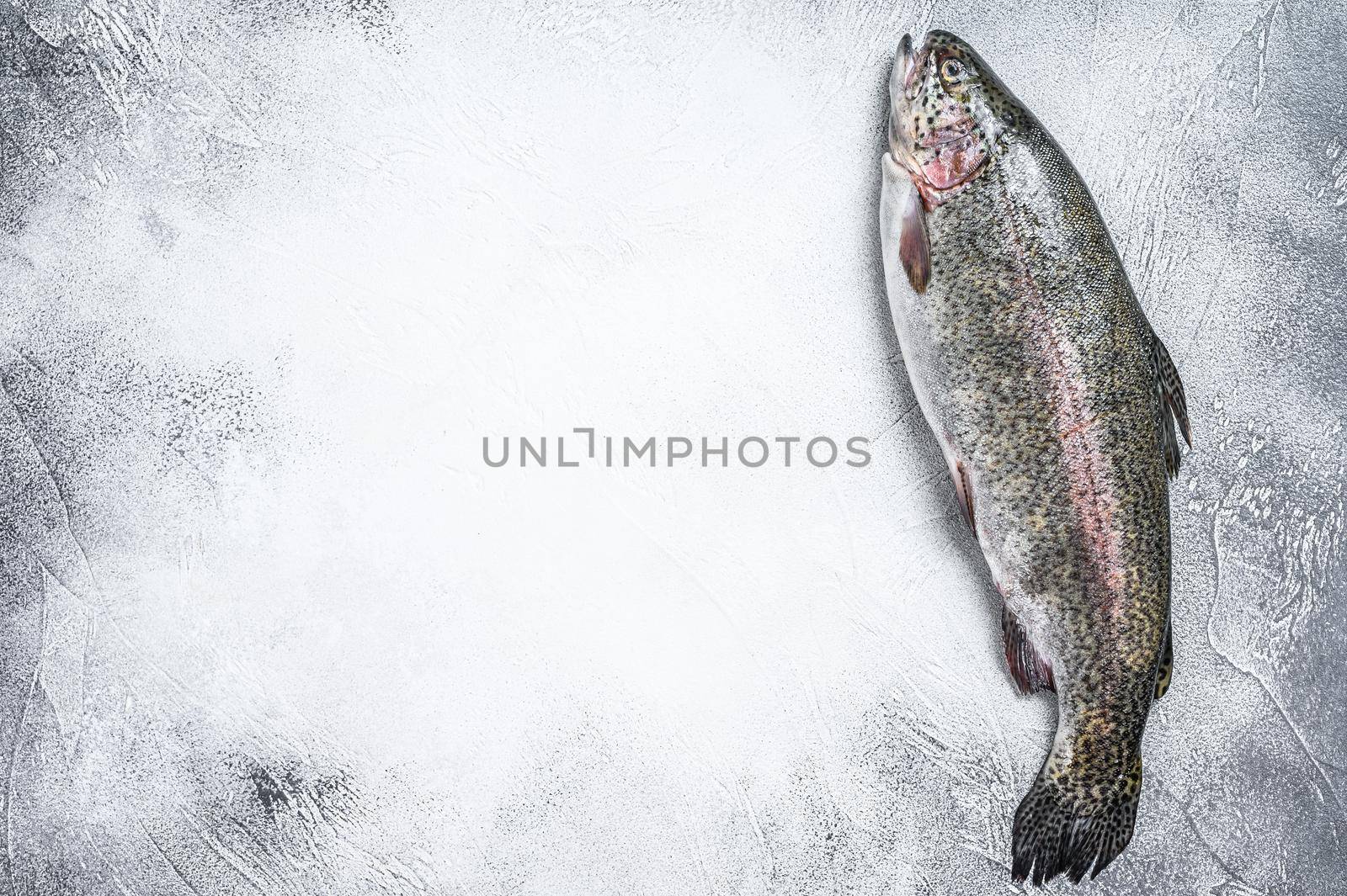 Raw Rainbow trout fish on a table. White background. Top view. Copy space by Composter