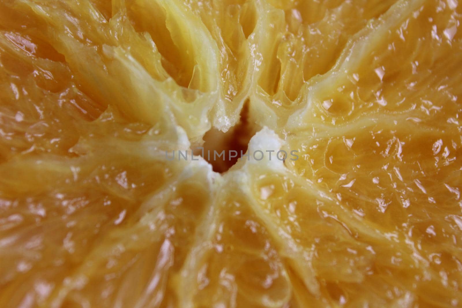 cut of the orange close-up. Macro photo of eating orange fruit. Orange fruit background.